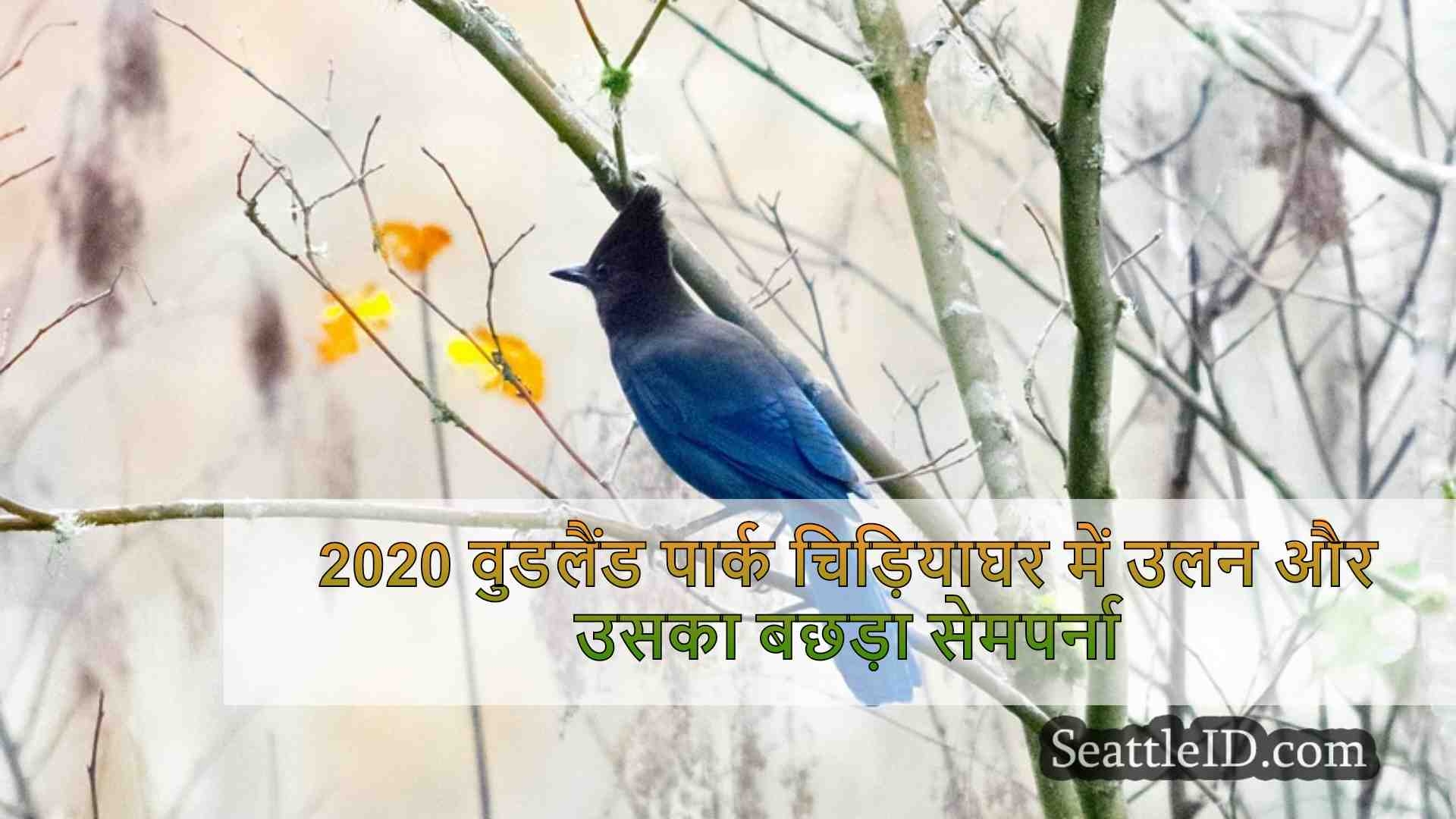 सिएटल में वुडलैंड पार्क चिड़ियाघर के