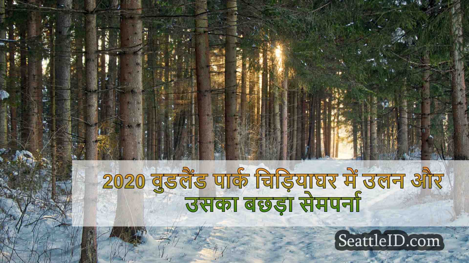 सिएटल समाचार SeattleID