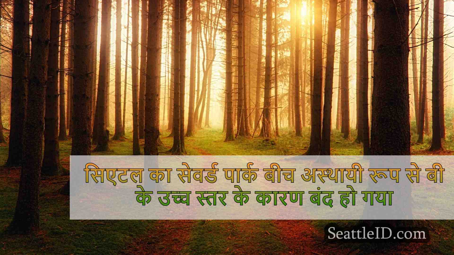 सिएटल समाचार SeattleID
