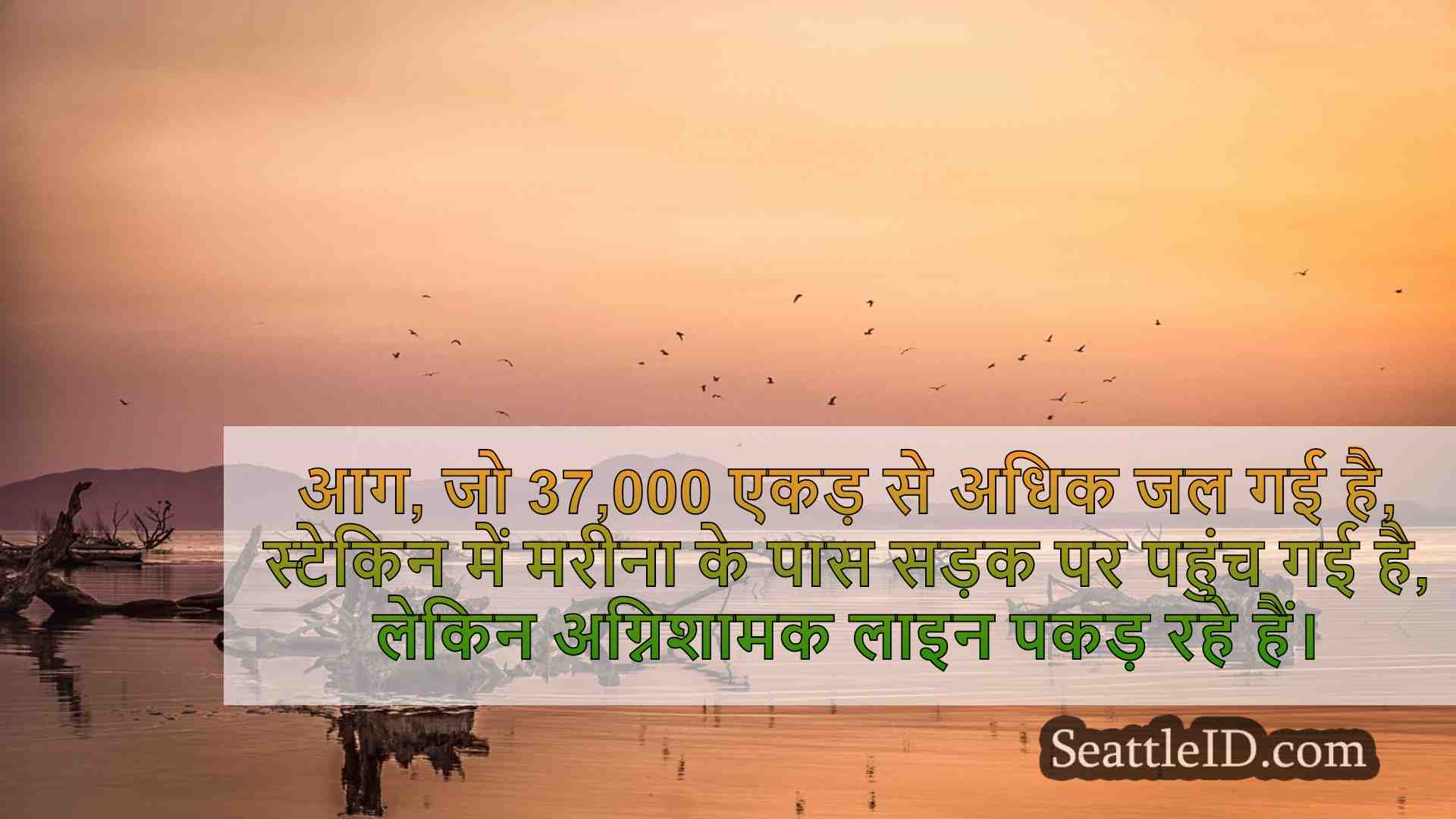 सिएटल समाचार SeattleID