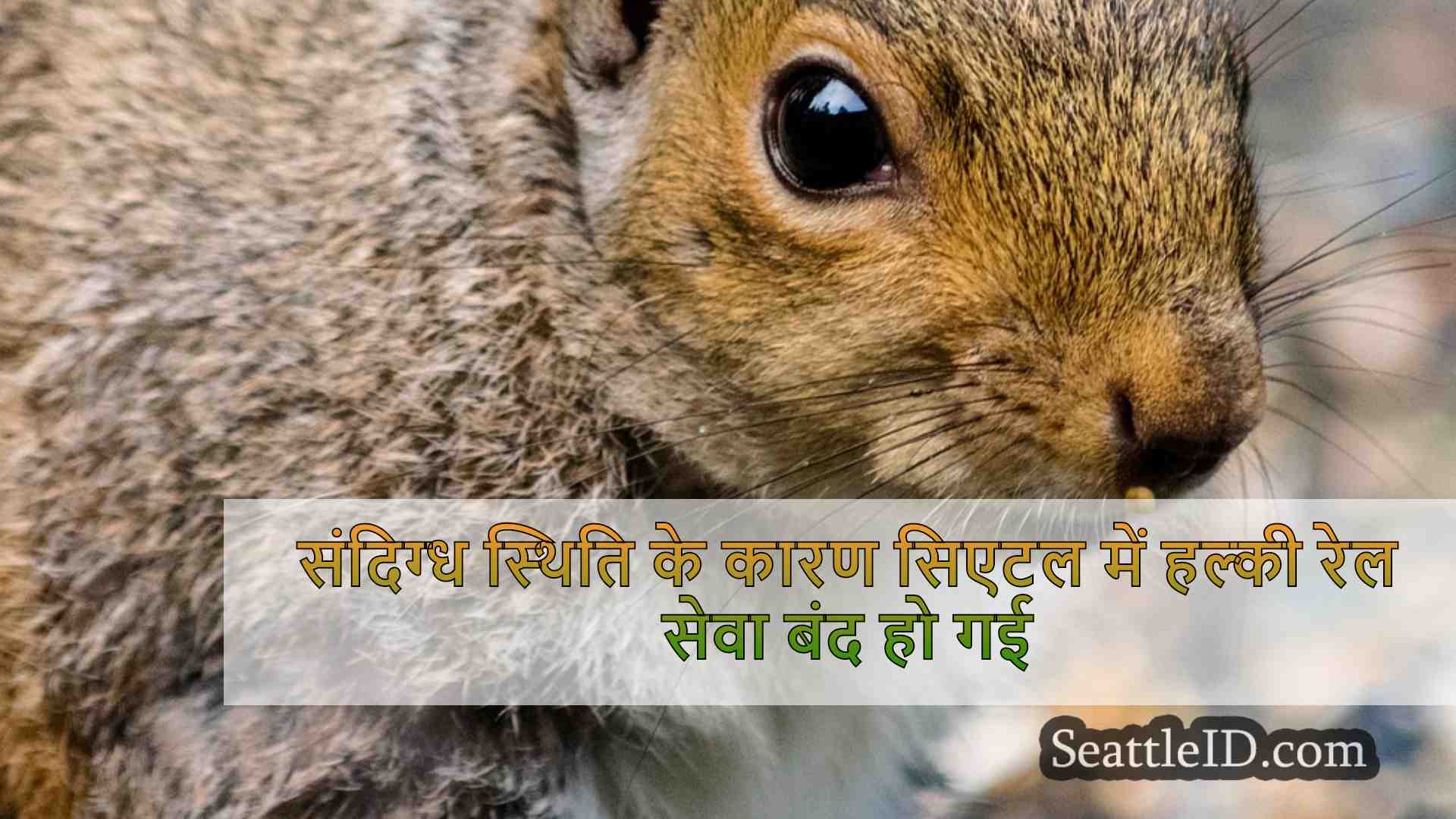 सिएटल समाचार SeattleID