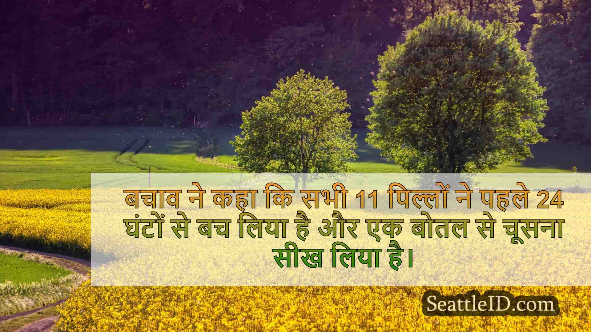 सिएटल समाचार SeattleID