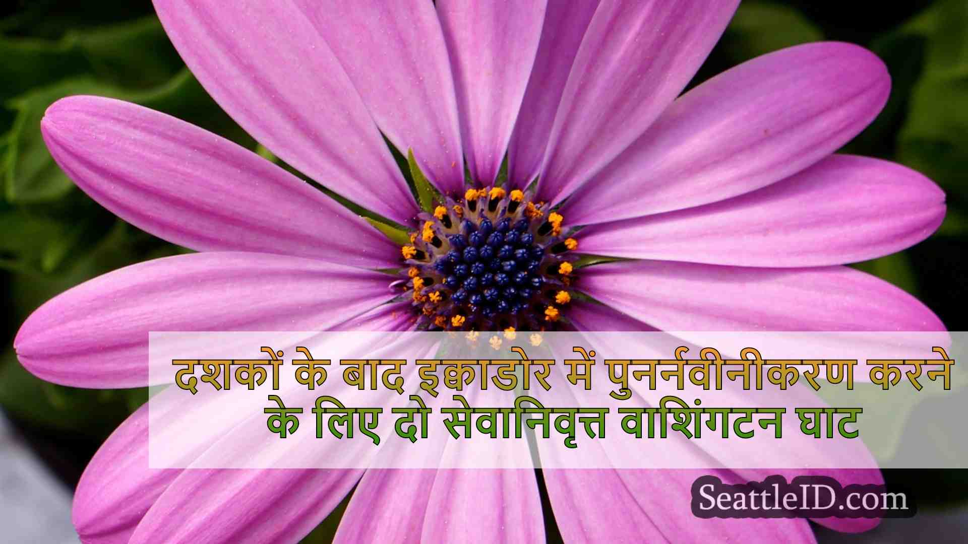 सिएटल समाचार SeattleID
