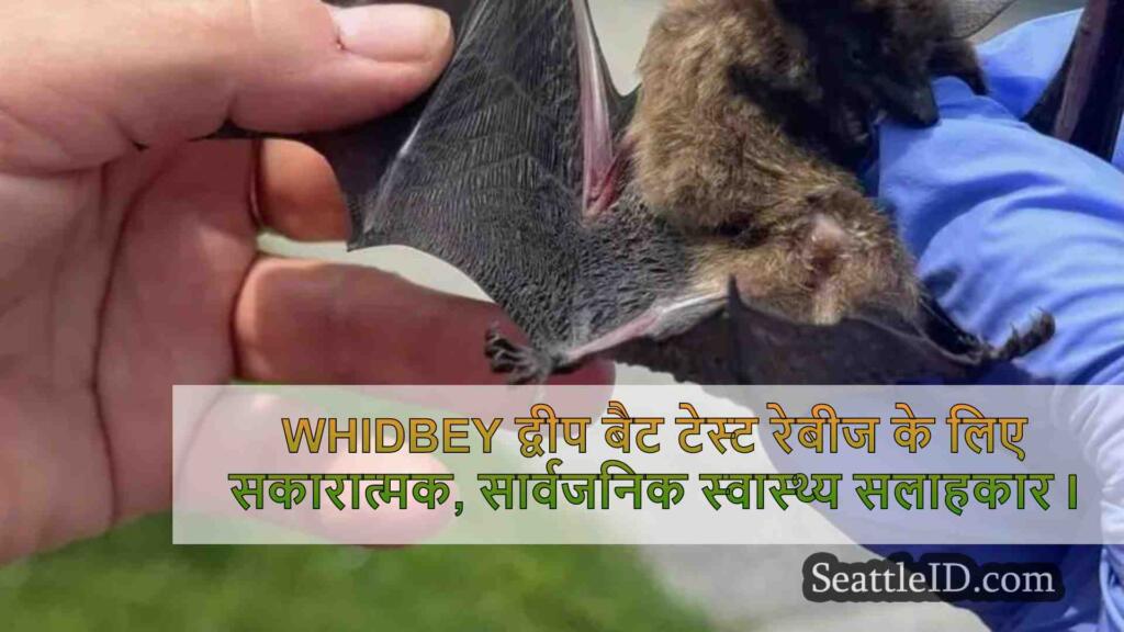 Whidbey द्वीप बैट टेस्ट रेबीज के लिए