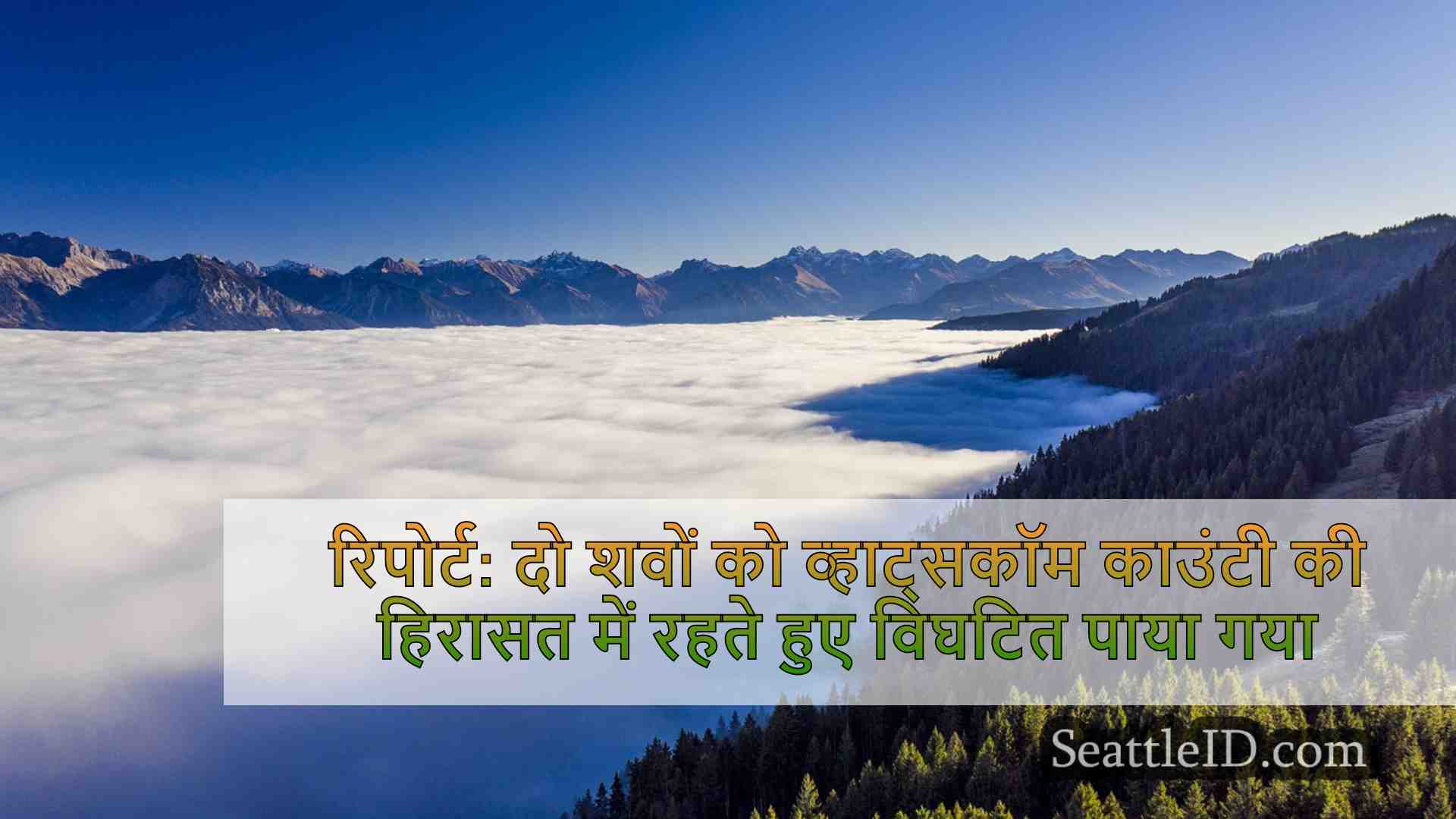 रिपोर्ट: दो निकायों को व्हाट्सकॉम