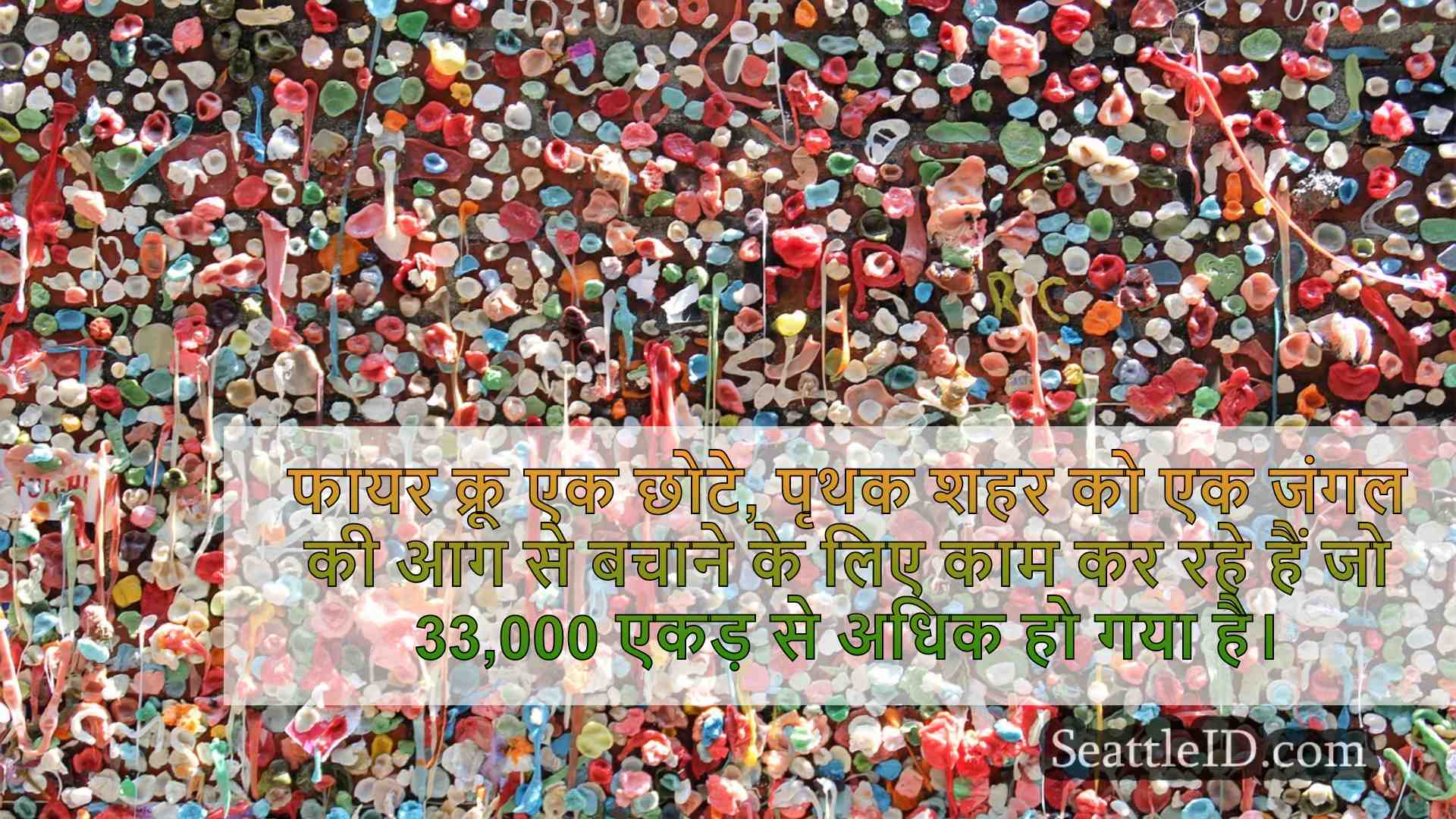 सिएटल समाचार SeattleID