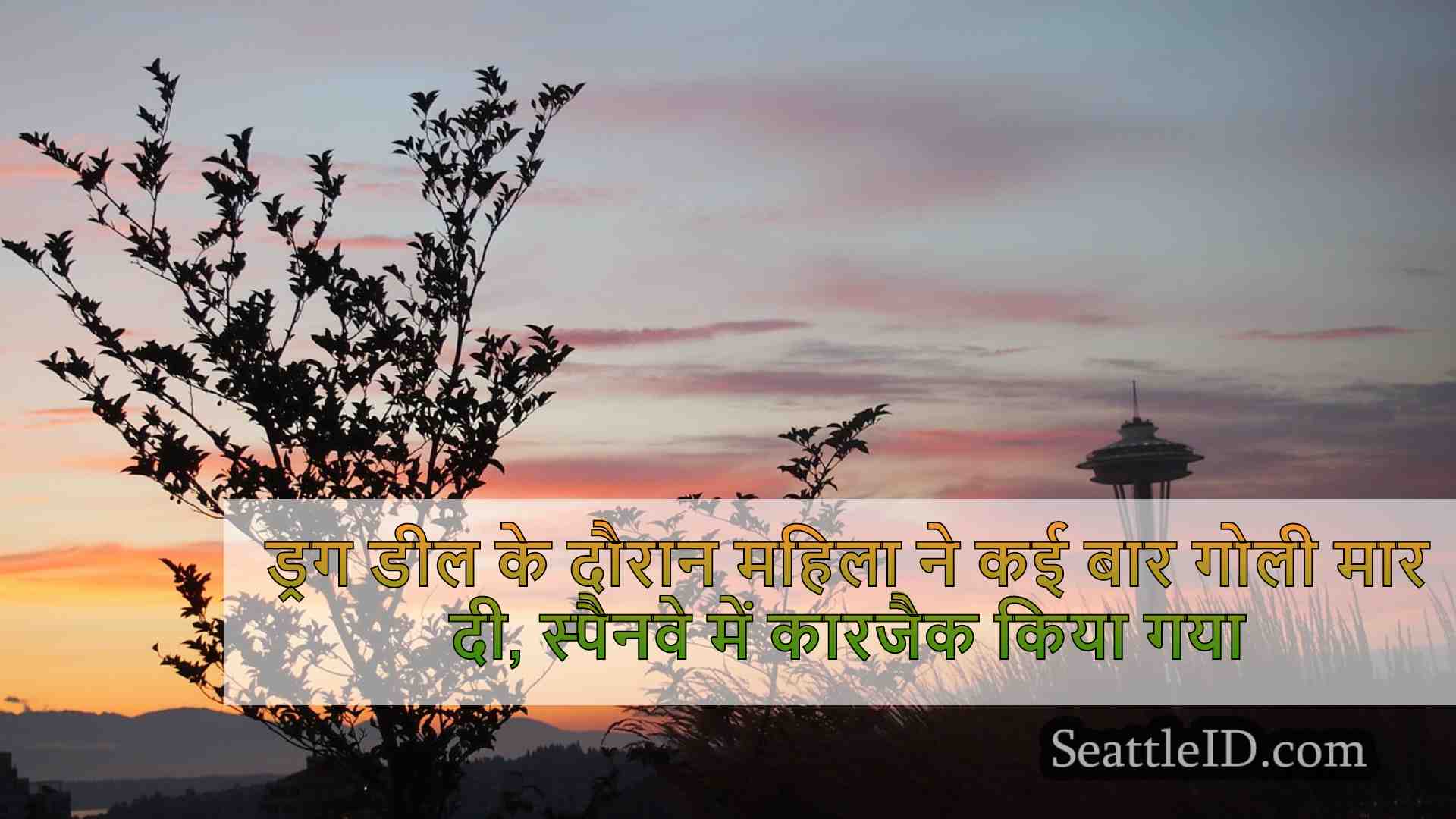सिएटल समाचार SeattleID
