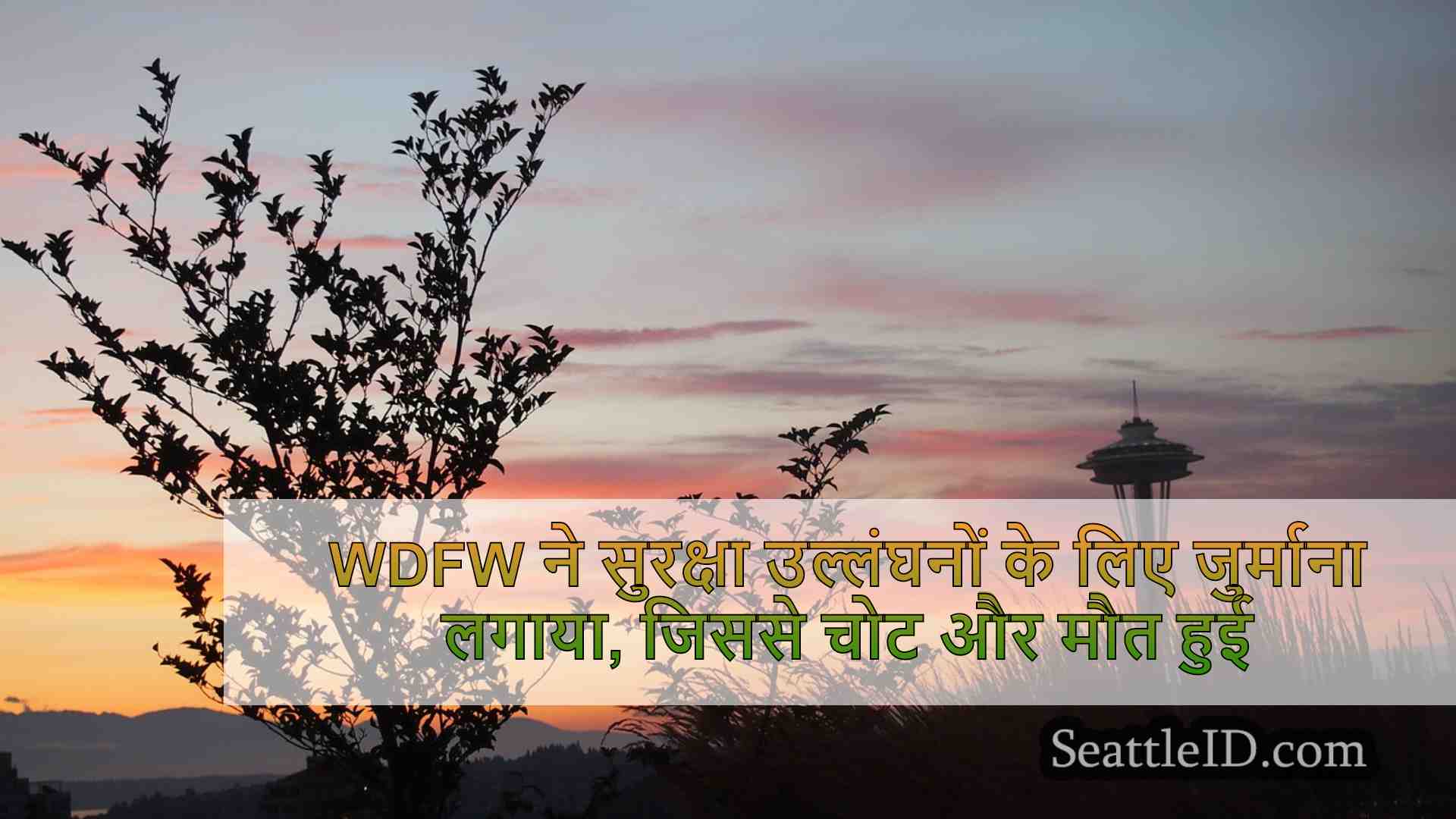 सिएटल समाचार SeattleID