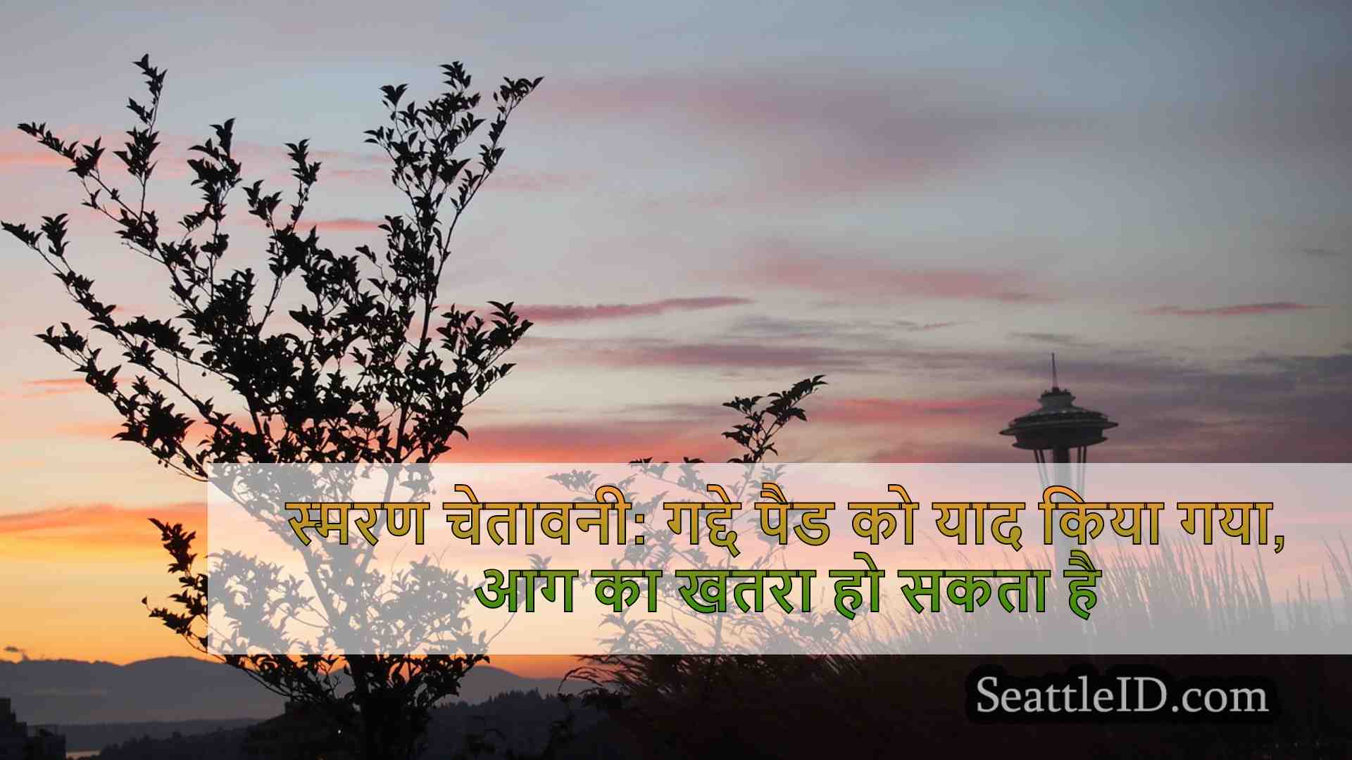 सिएटल समाचार SeattleID