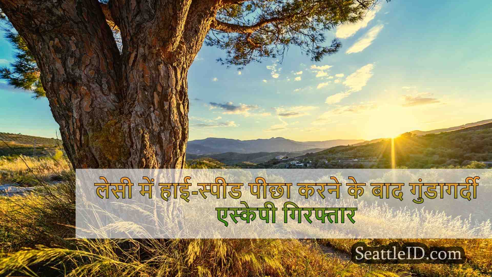 सिएटल समाचार SeattleID