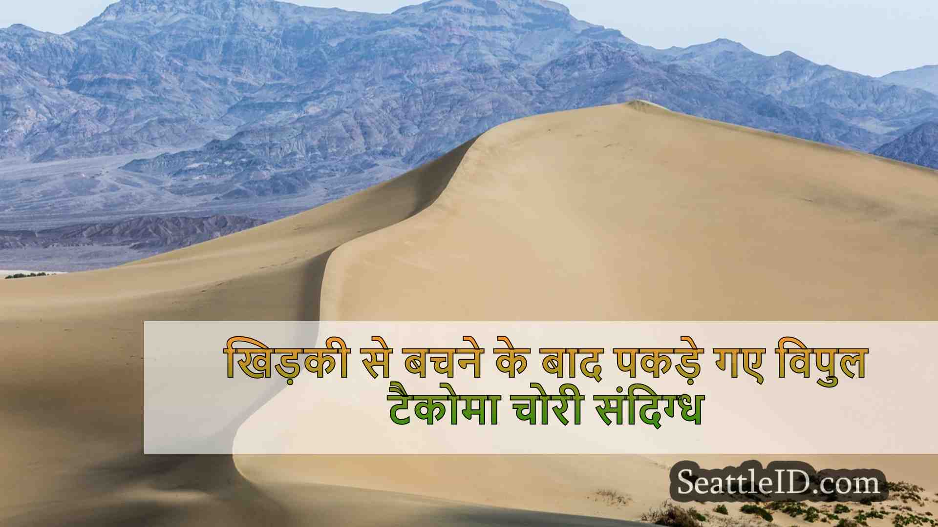 सिएटल समाचार SeattleID