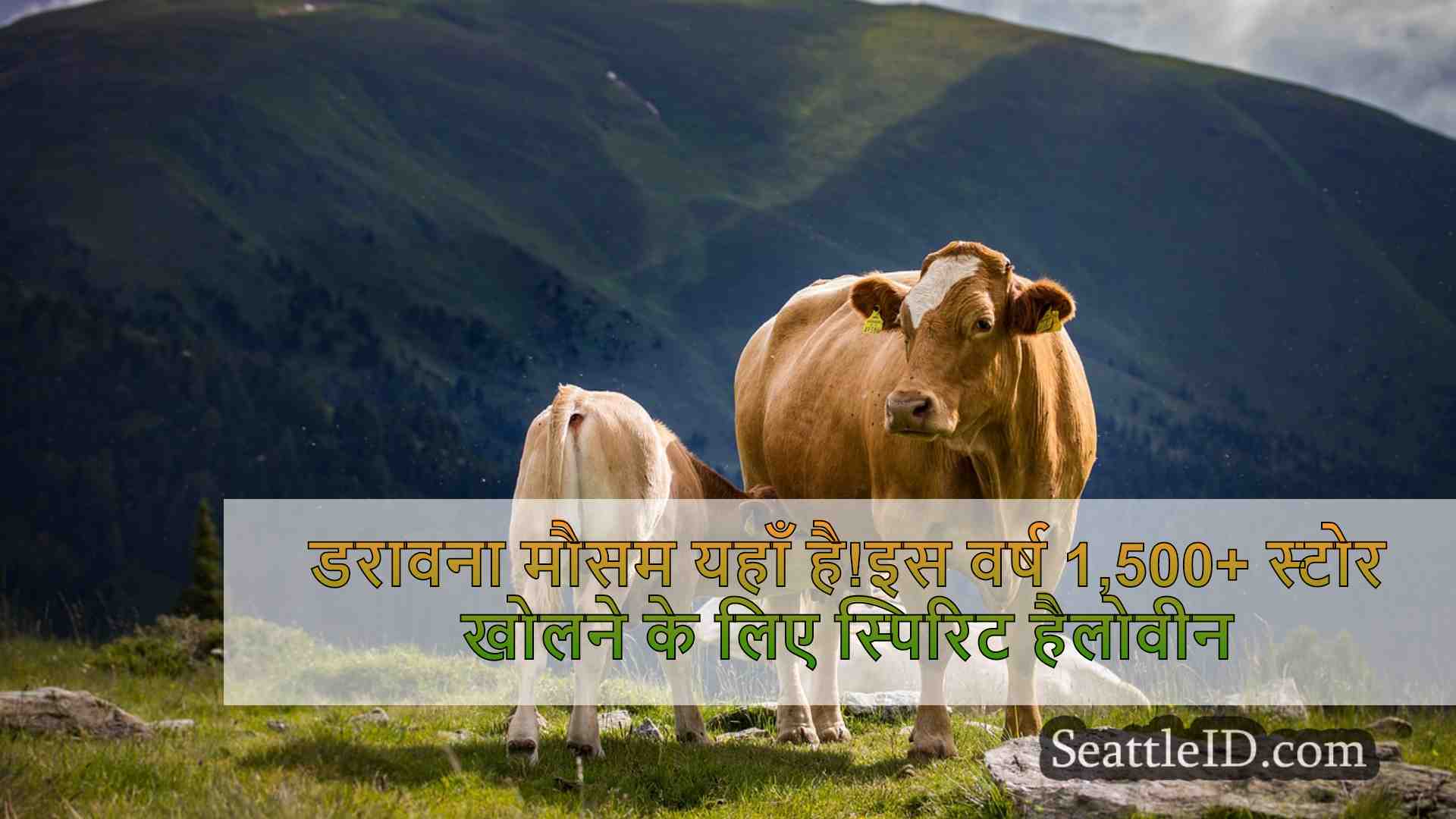 सिएटल समाचार SeattleID