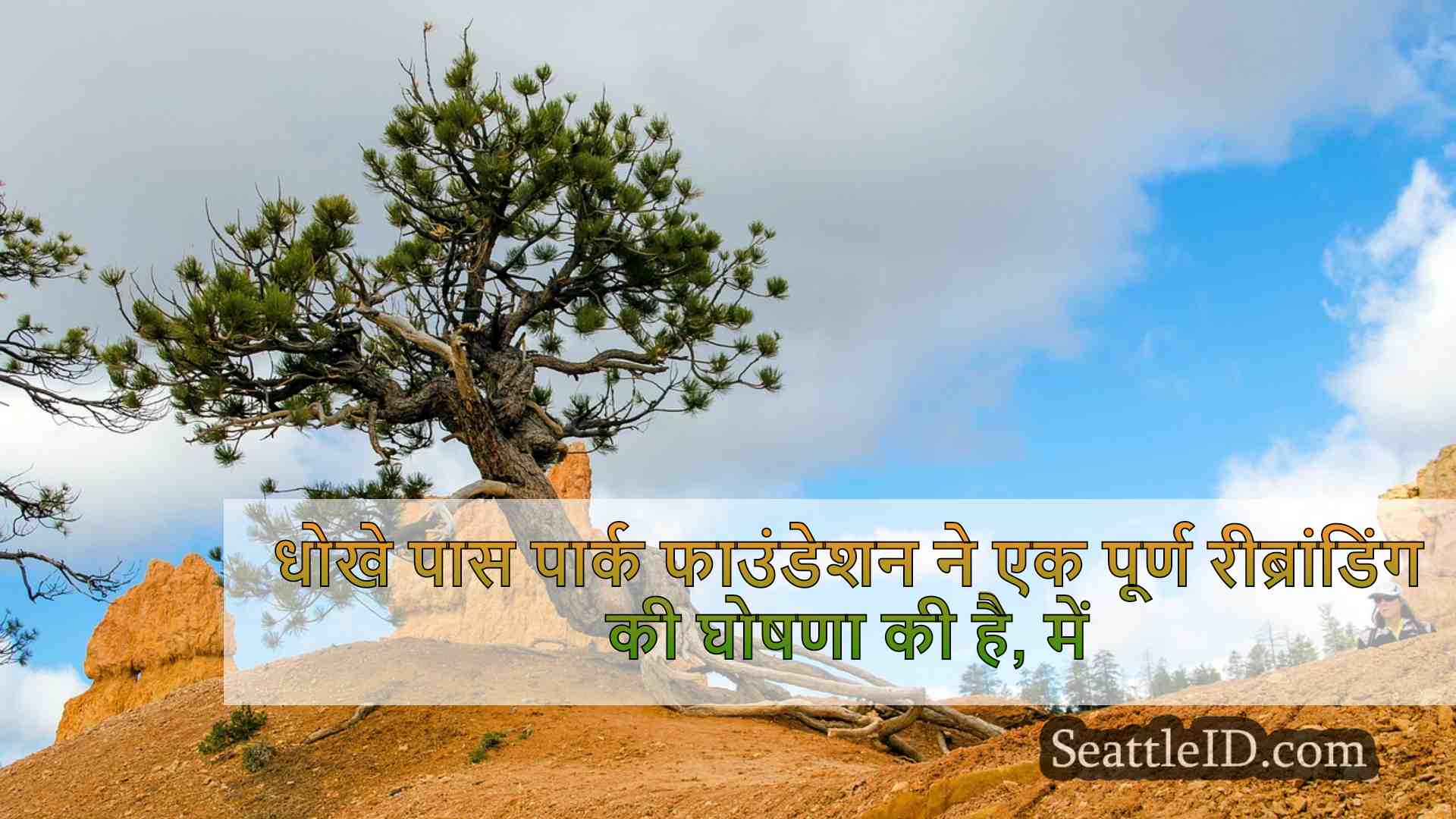 सिएटल समाचार SeattleID