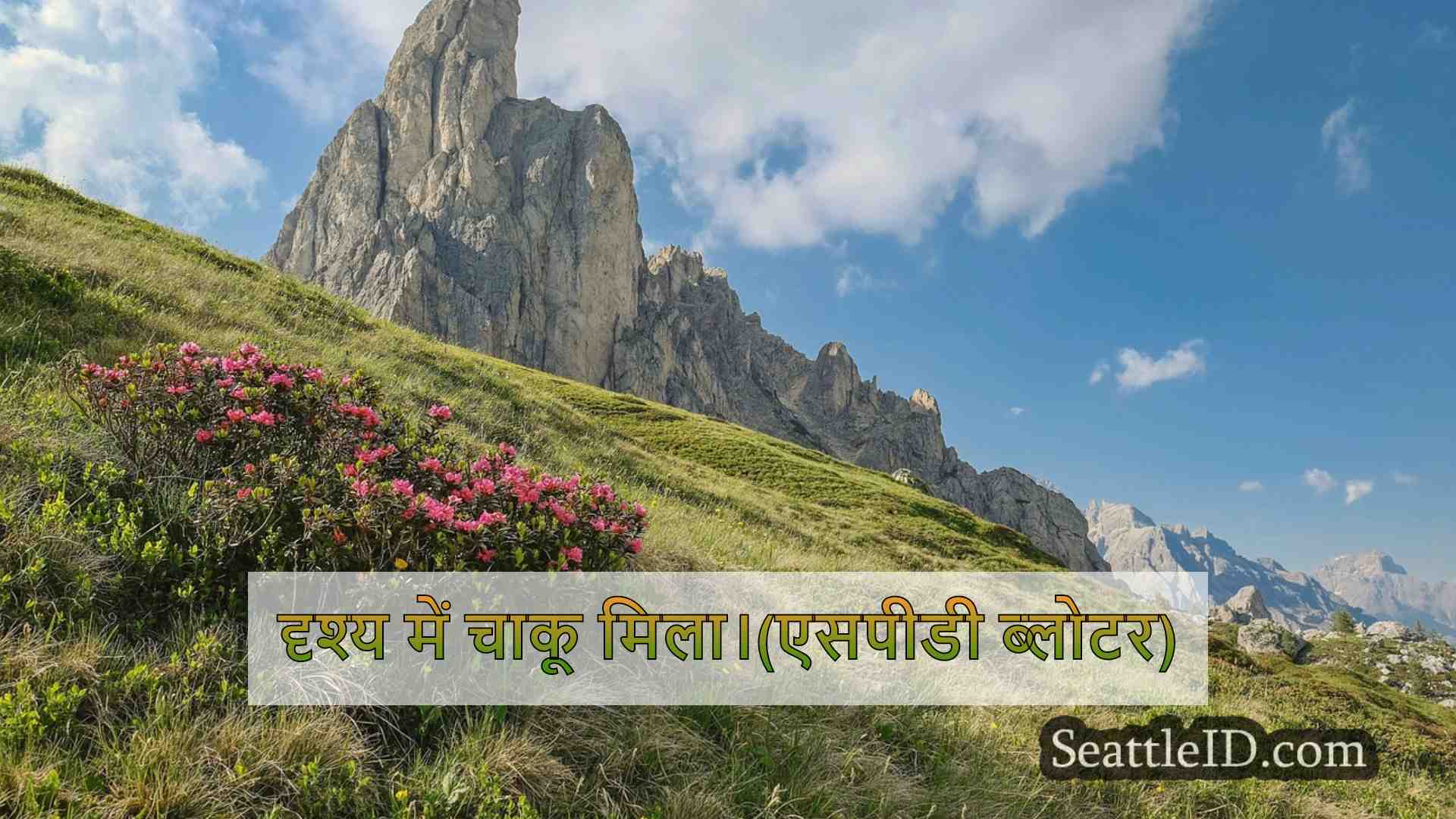 सिएटल समाचार SeattleID