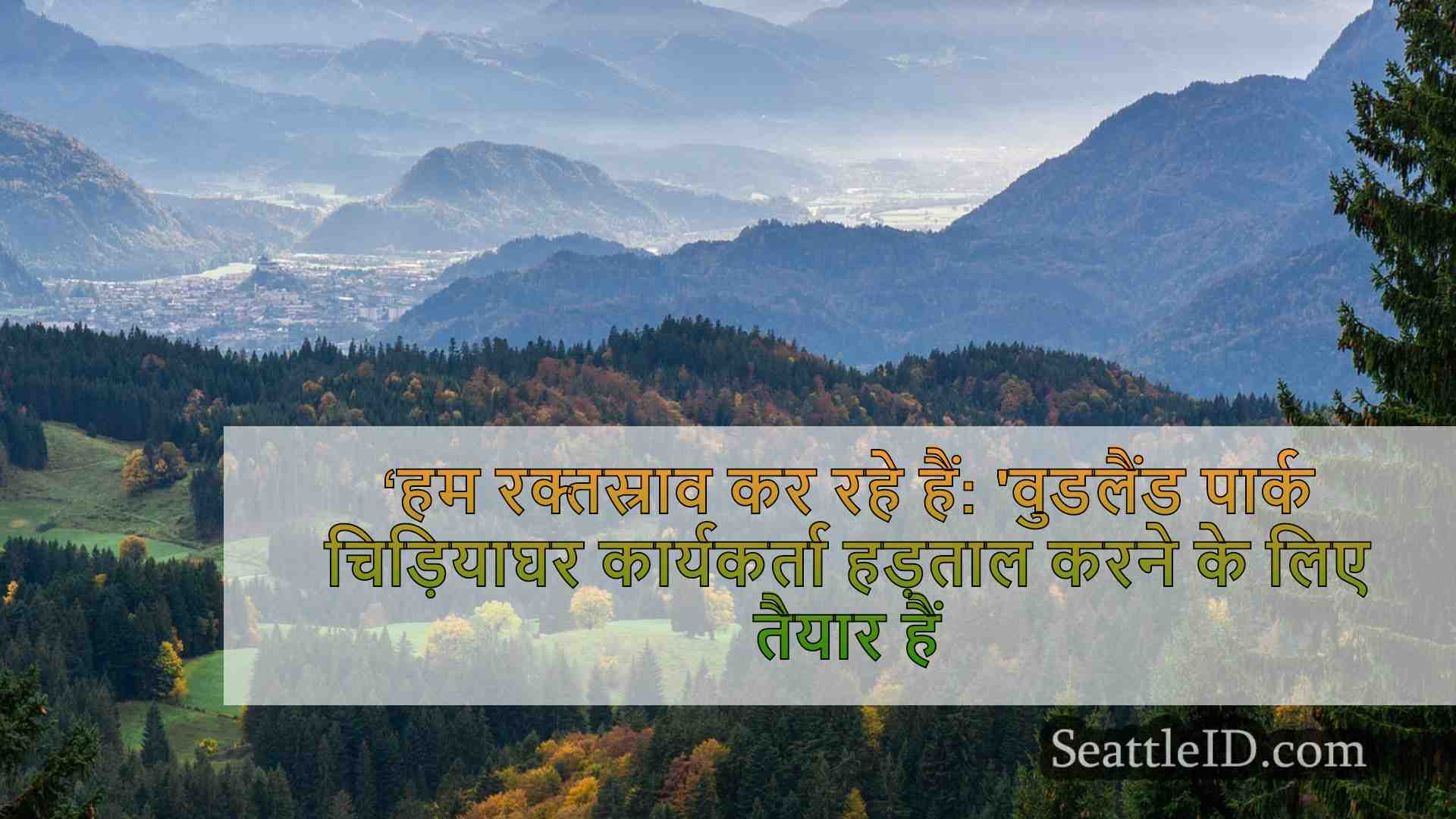 सिएटल समाचार SeattleID