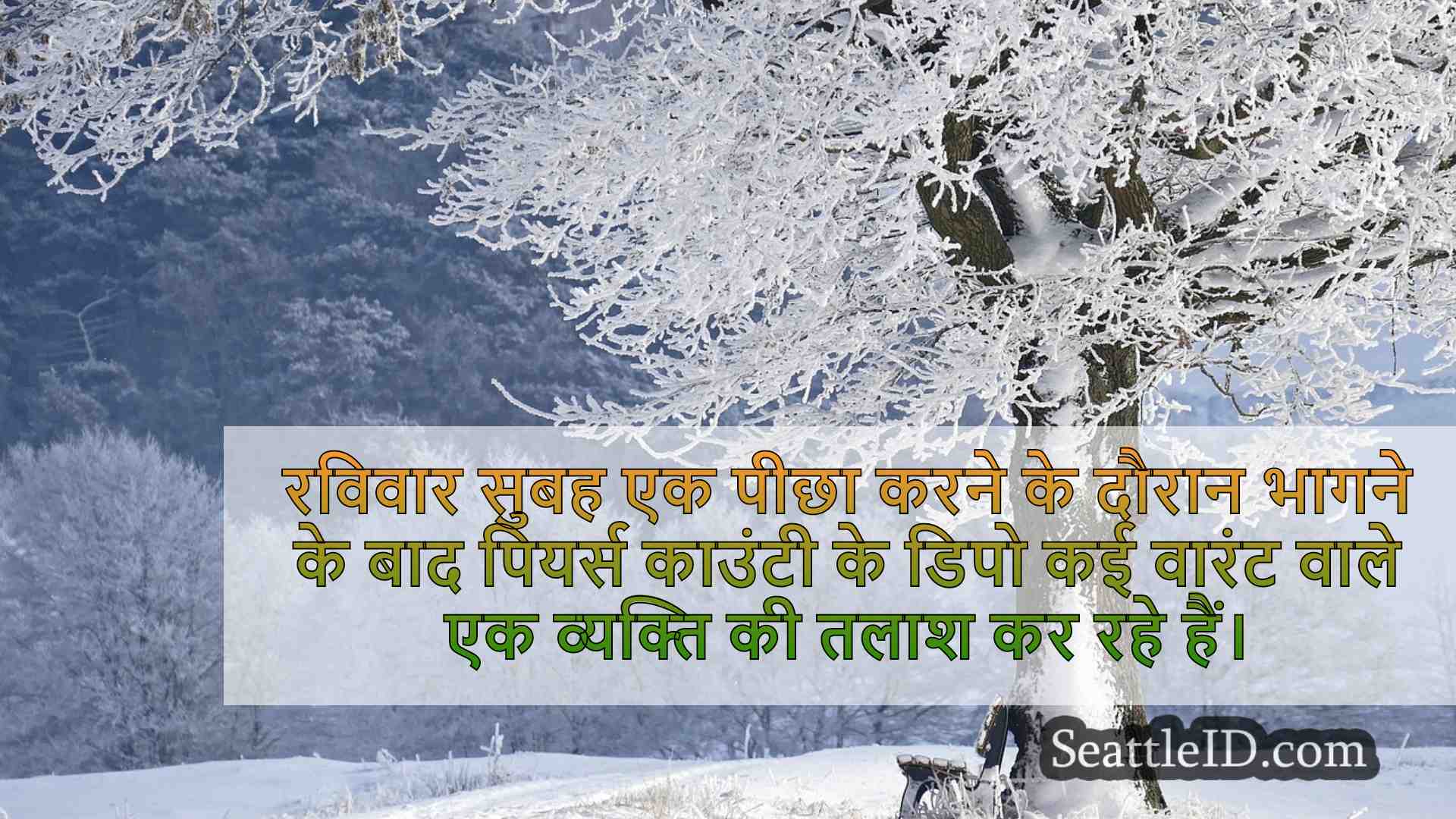सिएटल समाचार SeattleID