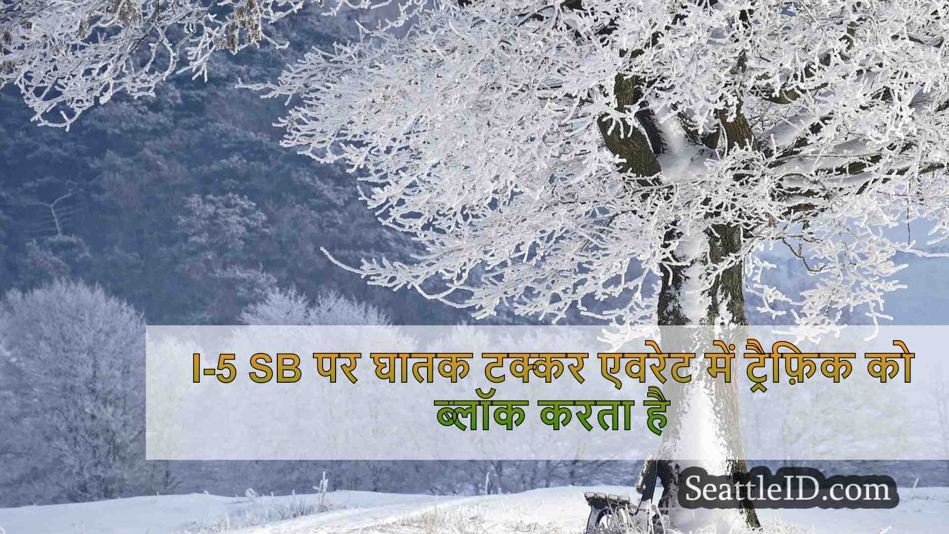 सिएटल समाचार SeattleID
