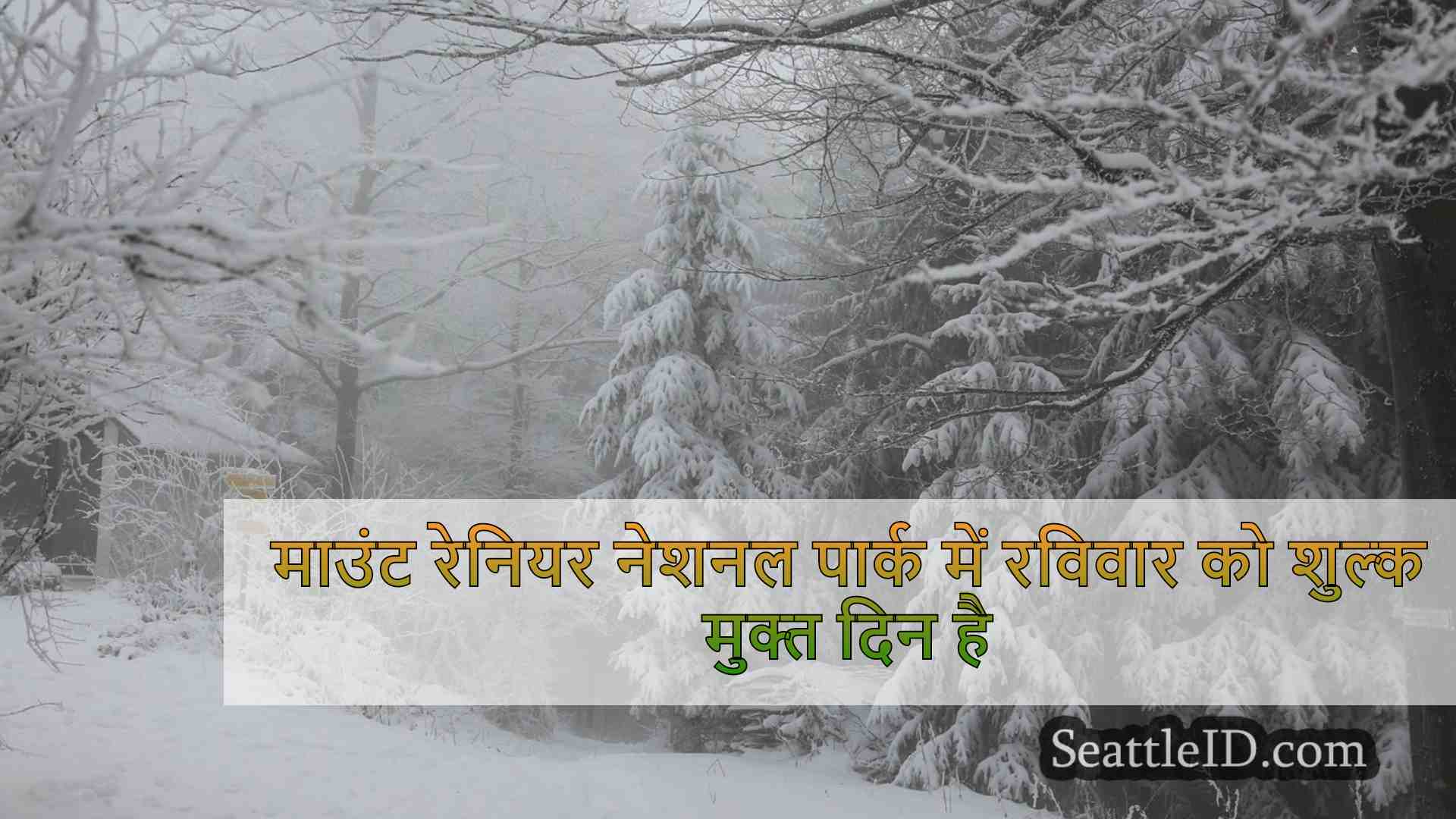 सिएटल समाचार SeattleID
