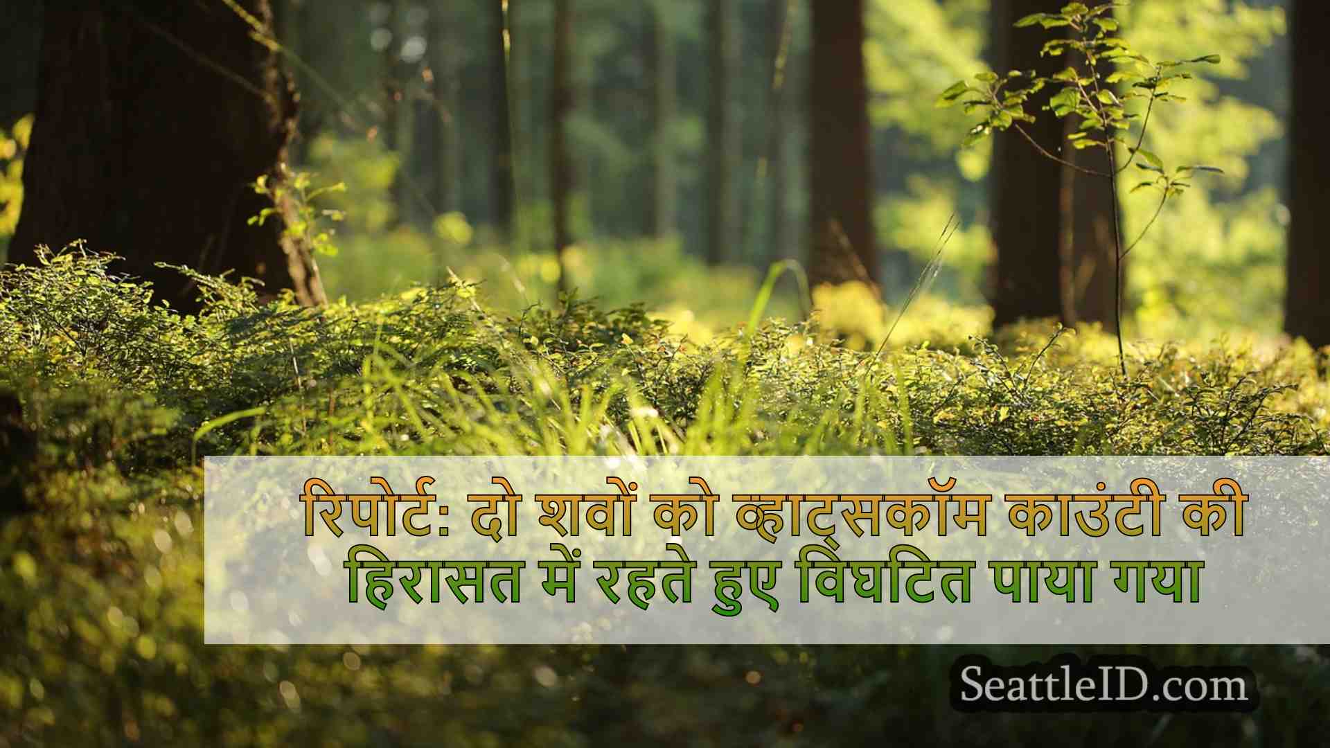 सिएटल समाचार SeattleID