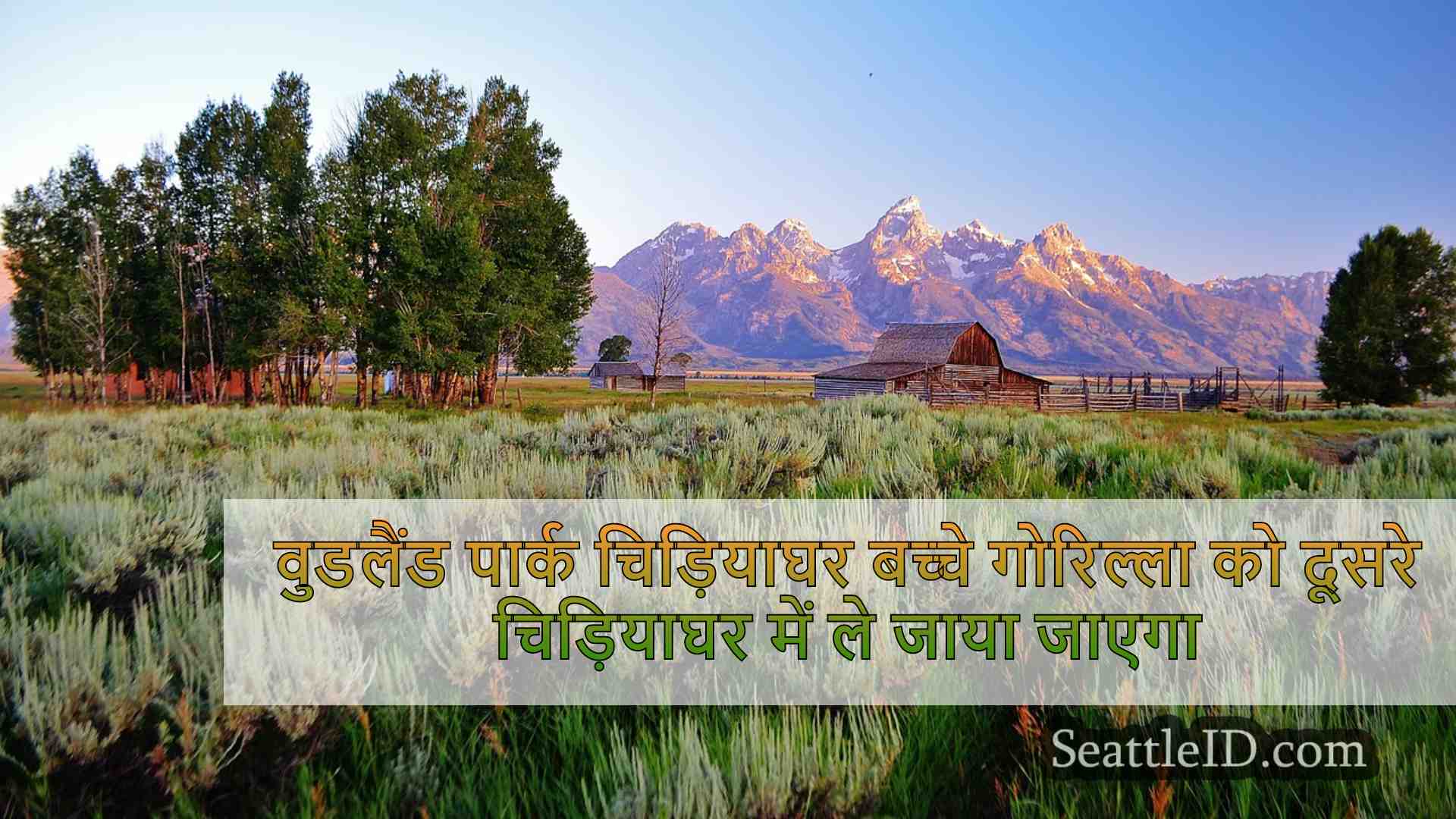 सिएटल समाचार SeattleID