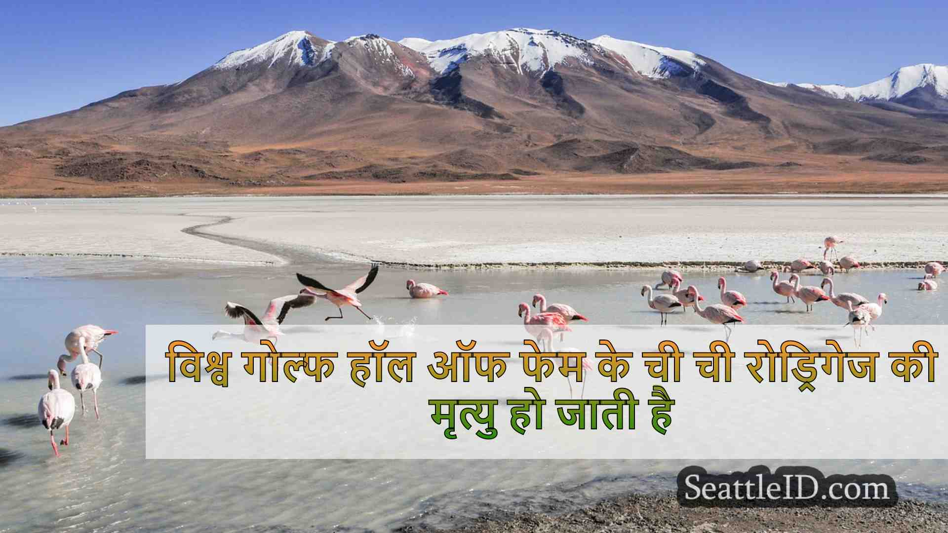 सिएटल समाचार SeattleID