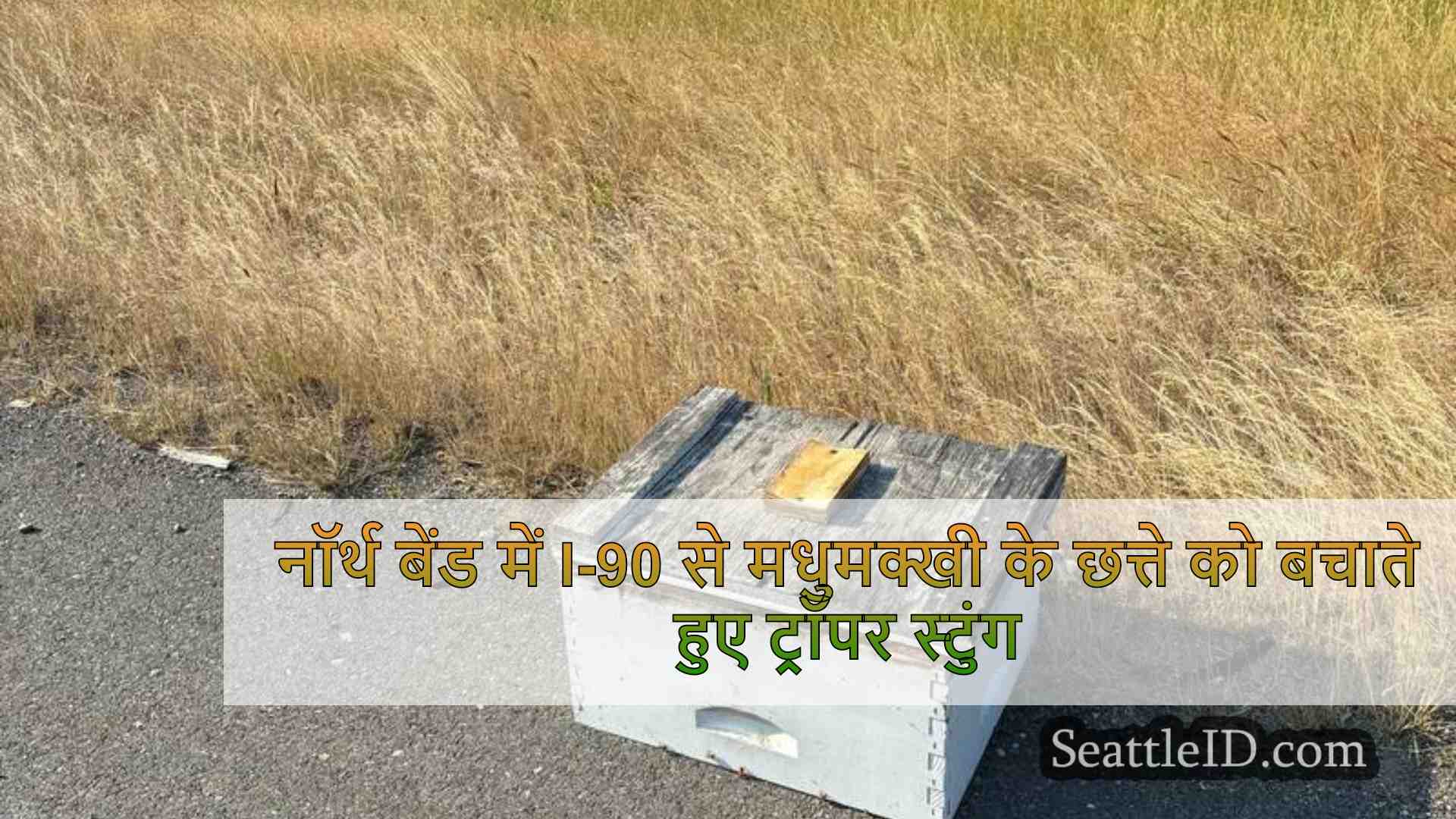 नॉर्थ बेंड में I-90 से मधुमक्खी के