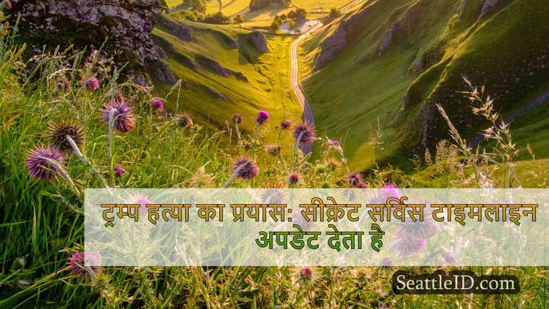 सिएटल समाचार SeattleID