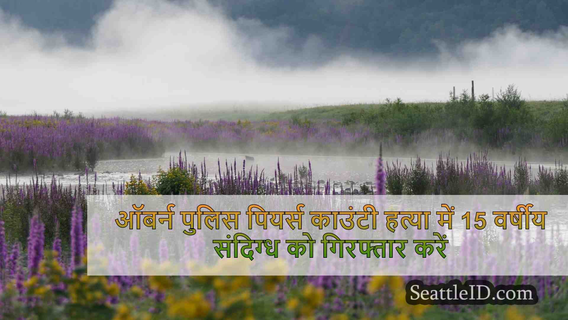 सिएटल समाचार SeattleID