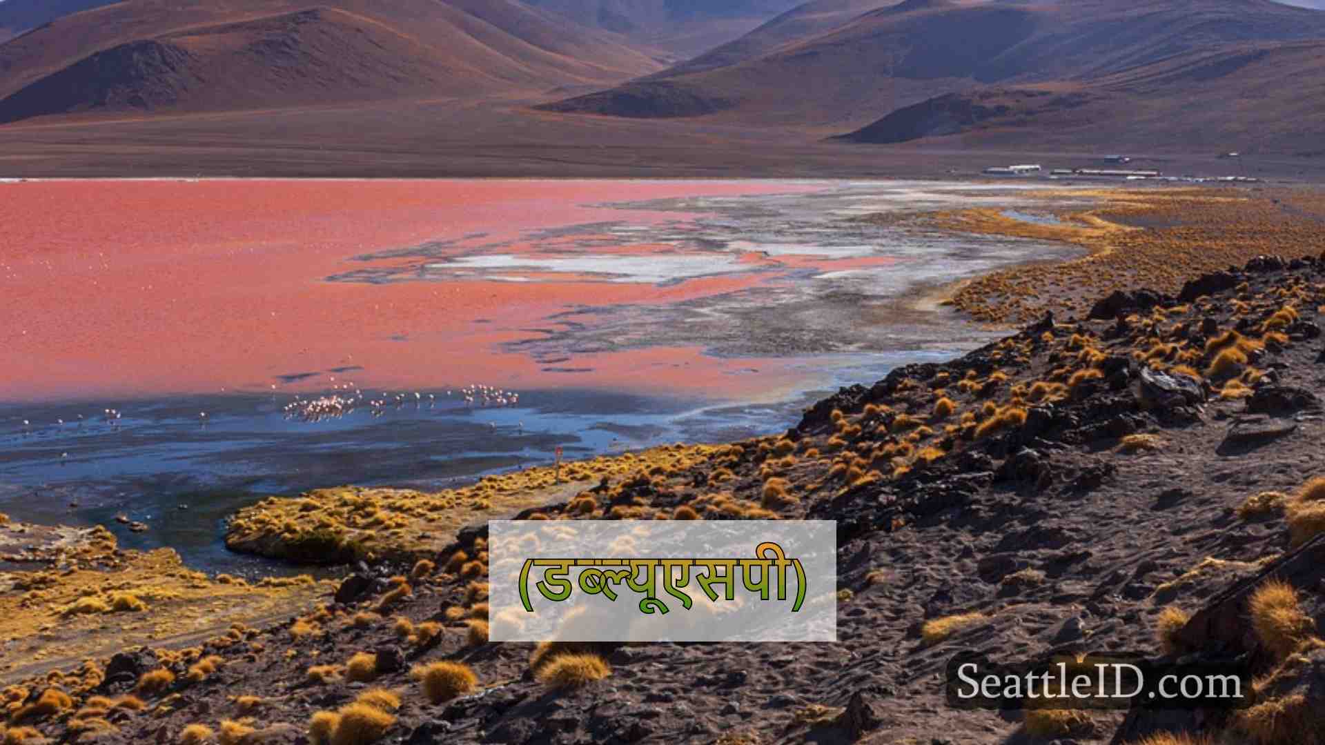 डब्ल्यूएसपी 2 एचओवी लेन उल्लंघनकर्ताओं