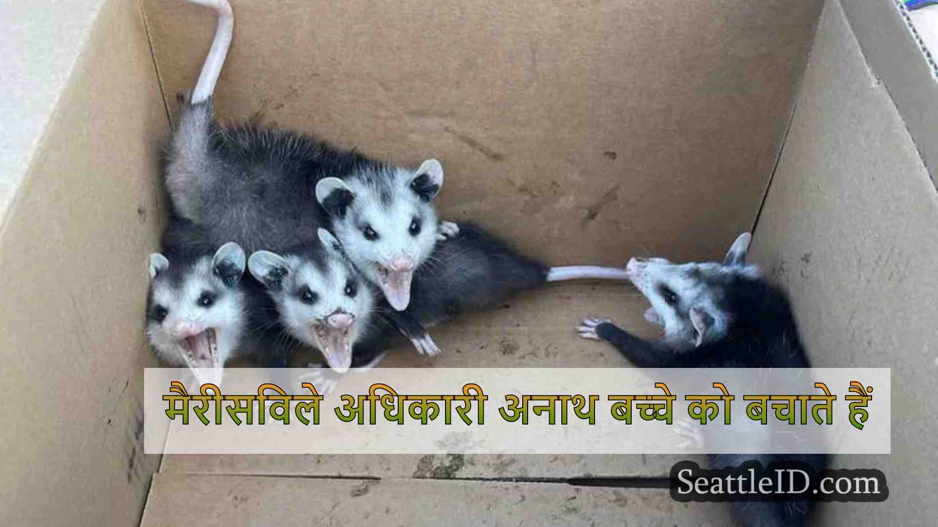 मैरीसविले अधिकारी अनाथ बच्चे को बचाते