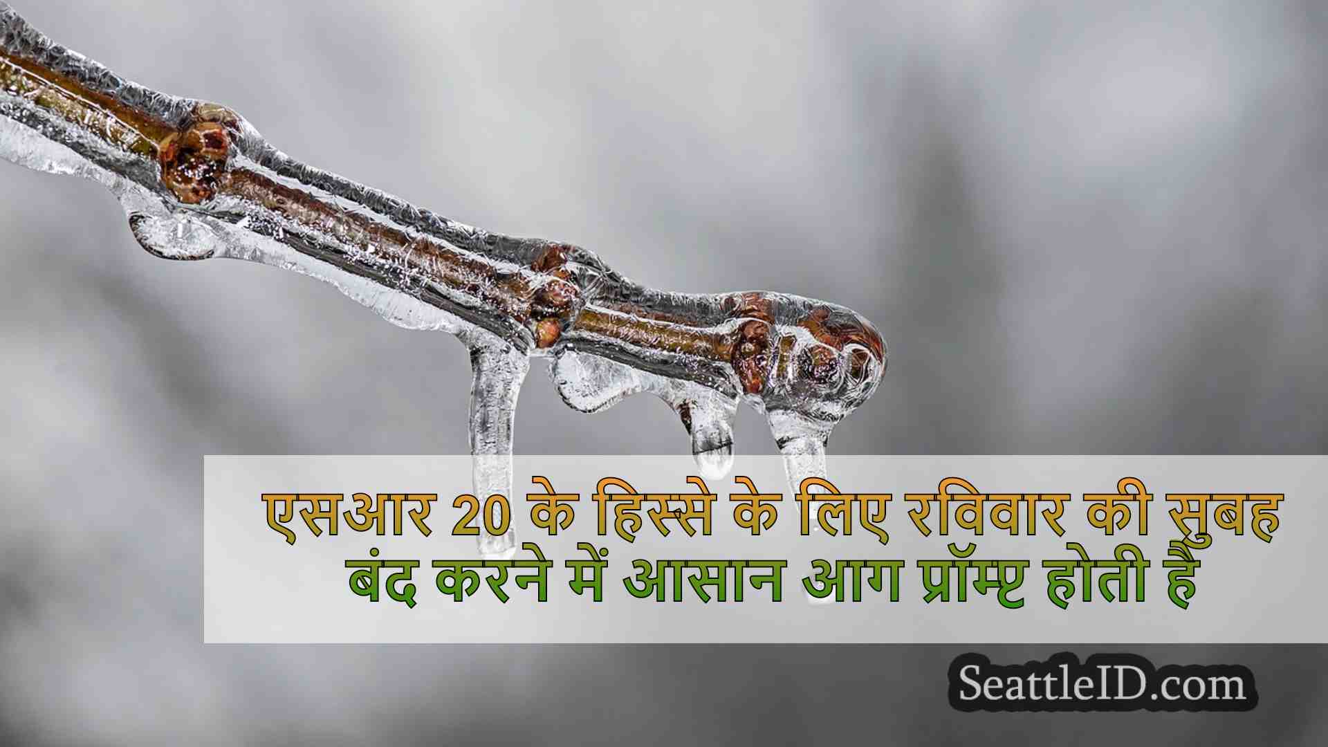 सिएटल समाचार SeattleID