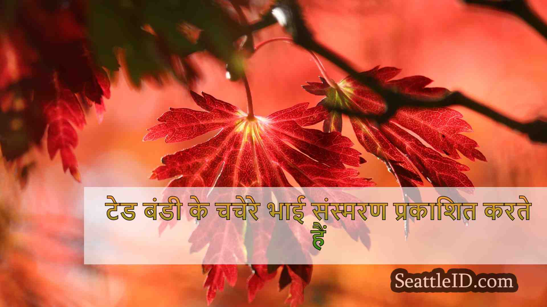 सिएटल समाचार SeattleID