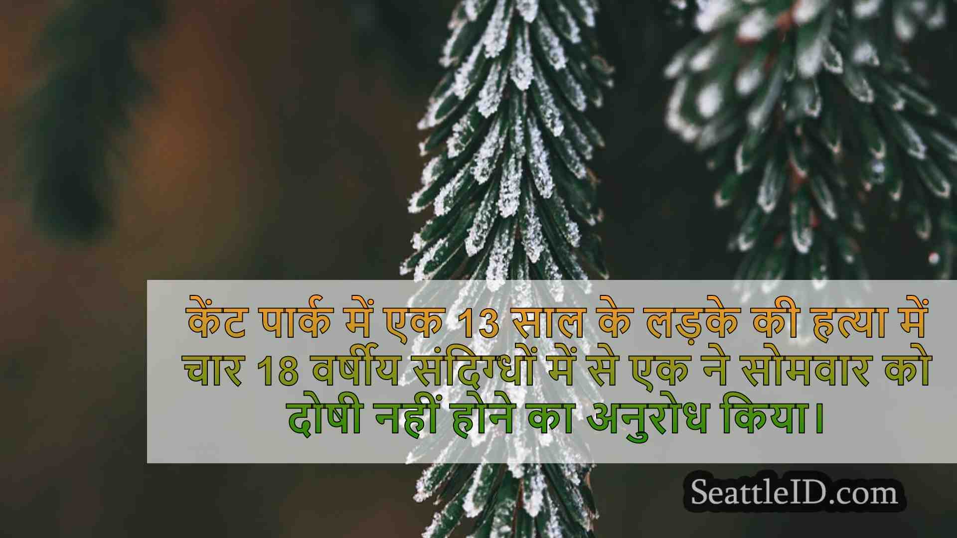 सिएटल समाचार SeattleID