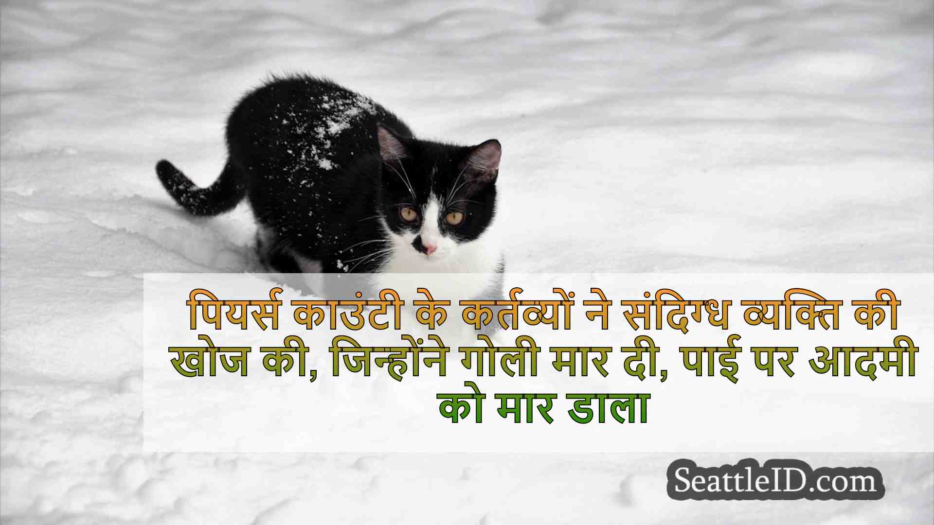 सिएटल समाचार SeattleID