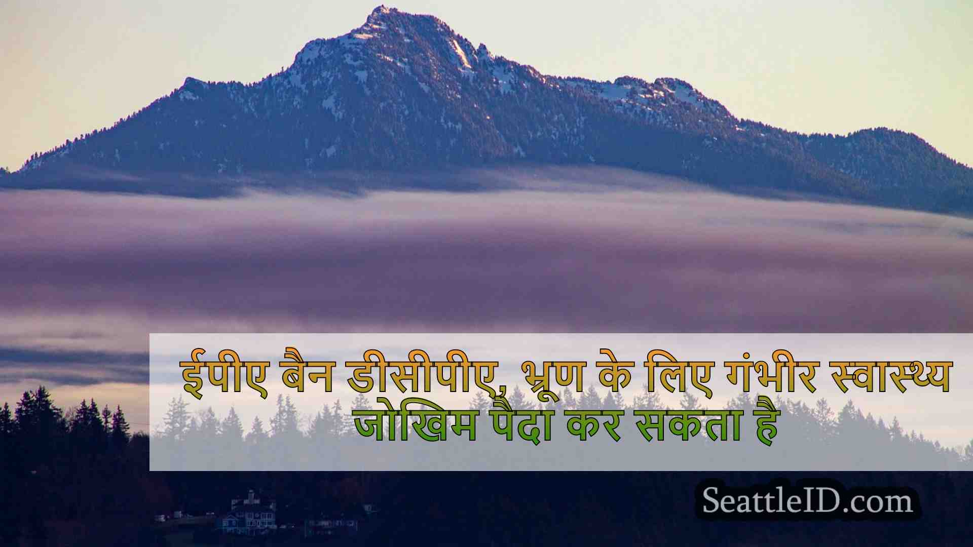 सिएटल समाचार SeattleID