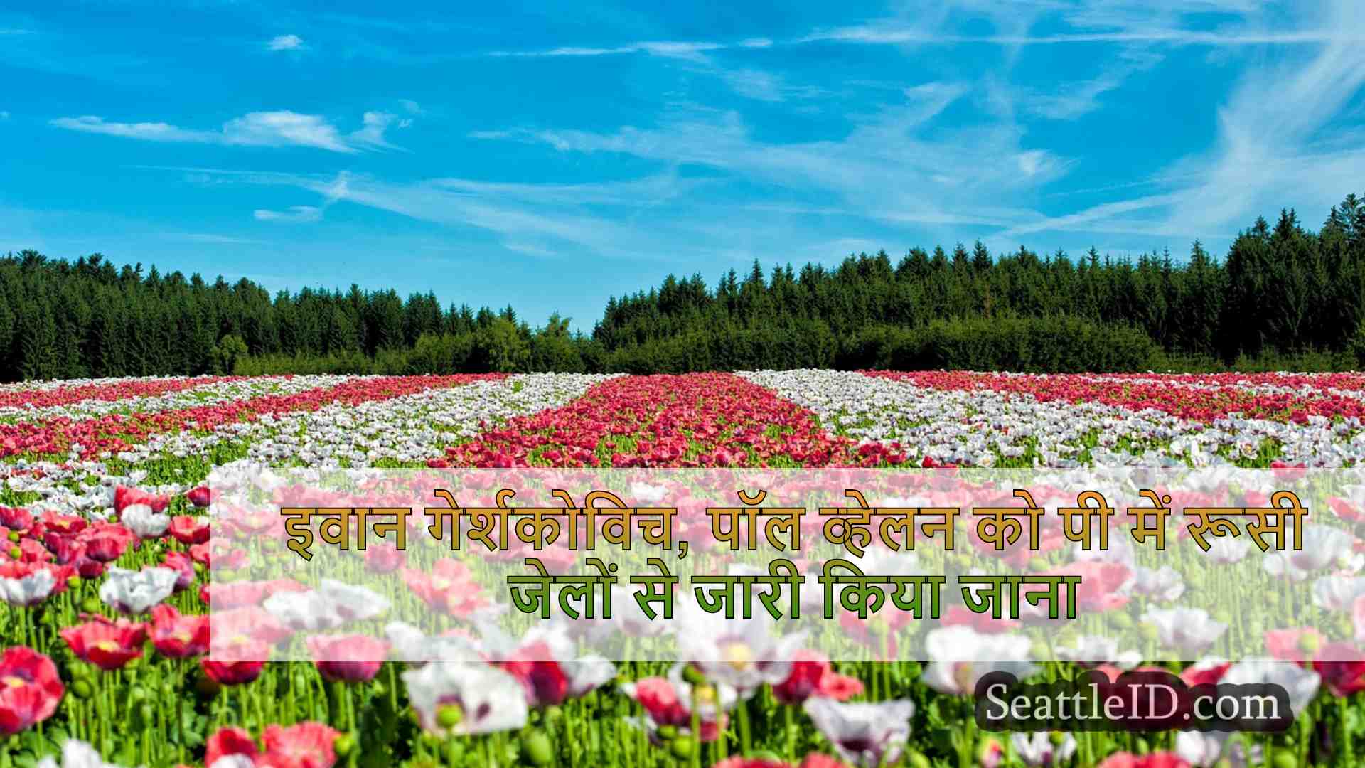 सिएटल समाचार SeattleID