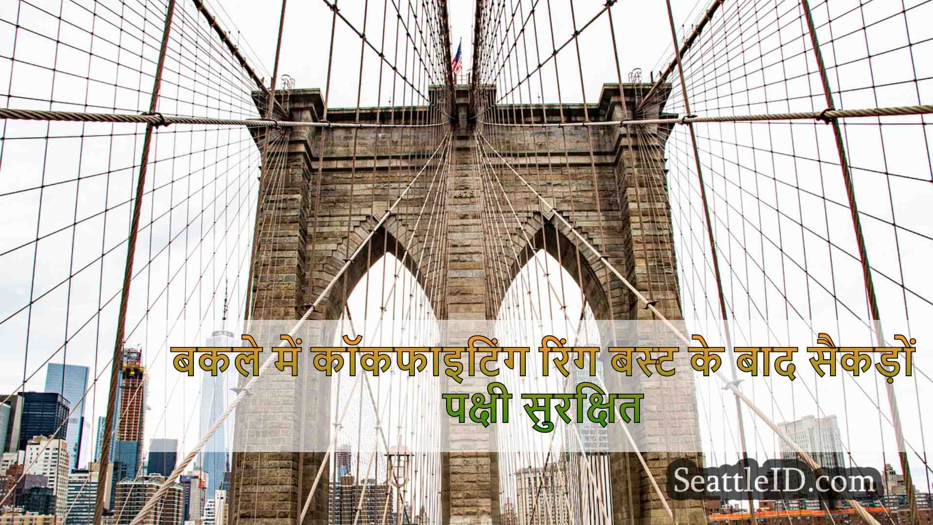 सिएटल समाचार SeattleID