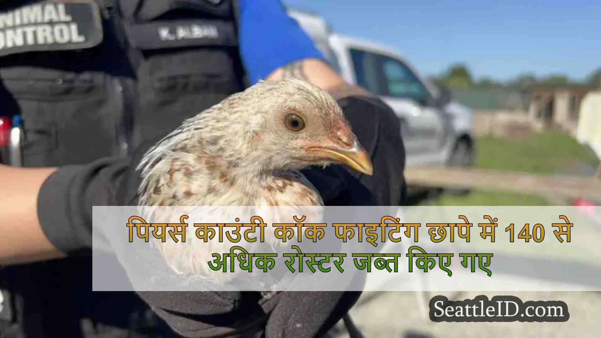 पियर्स काउंटी कॉक फाइटिंग छापे में 140