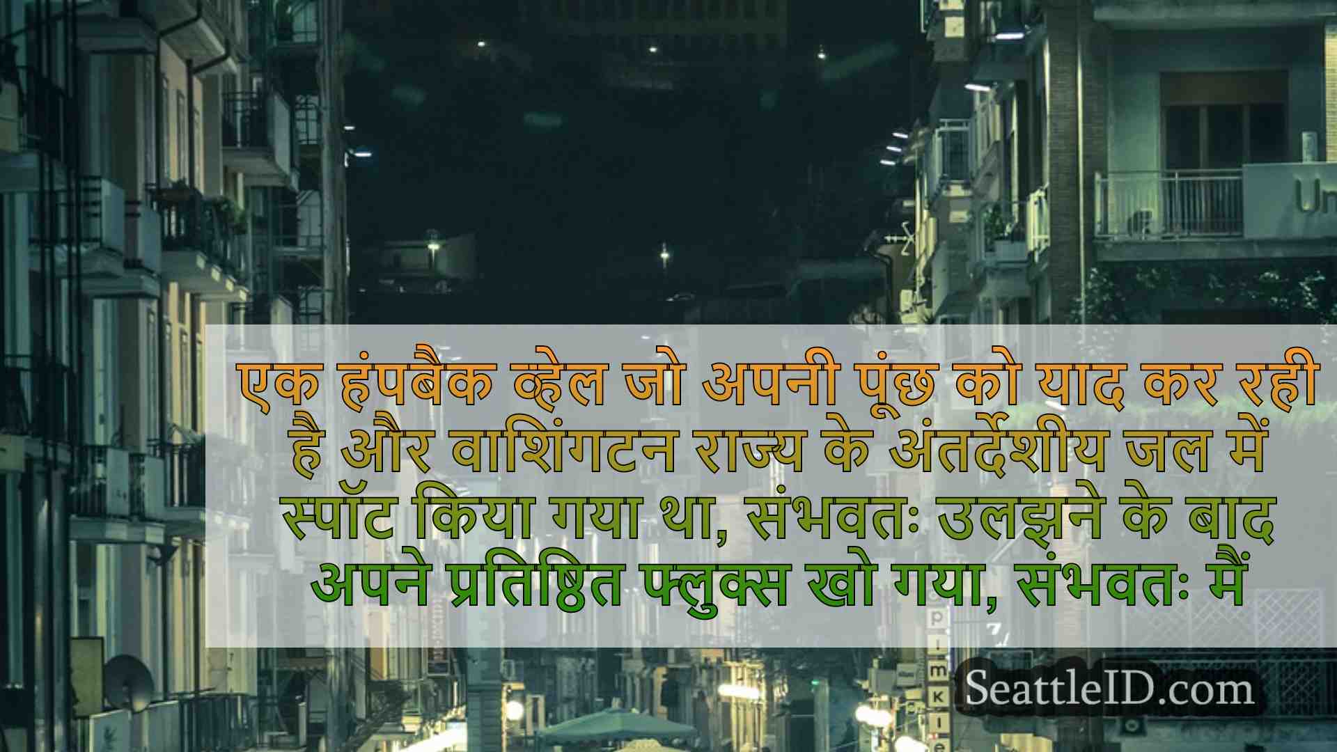 सिएटल समाचार SeattleID