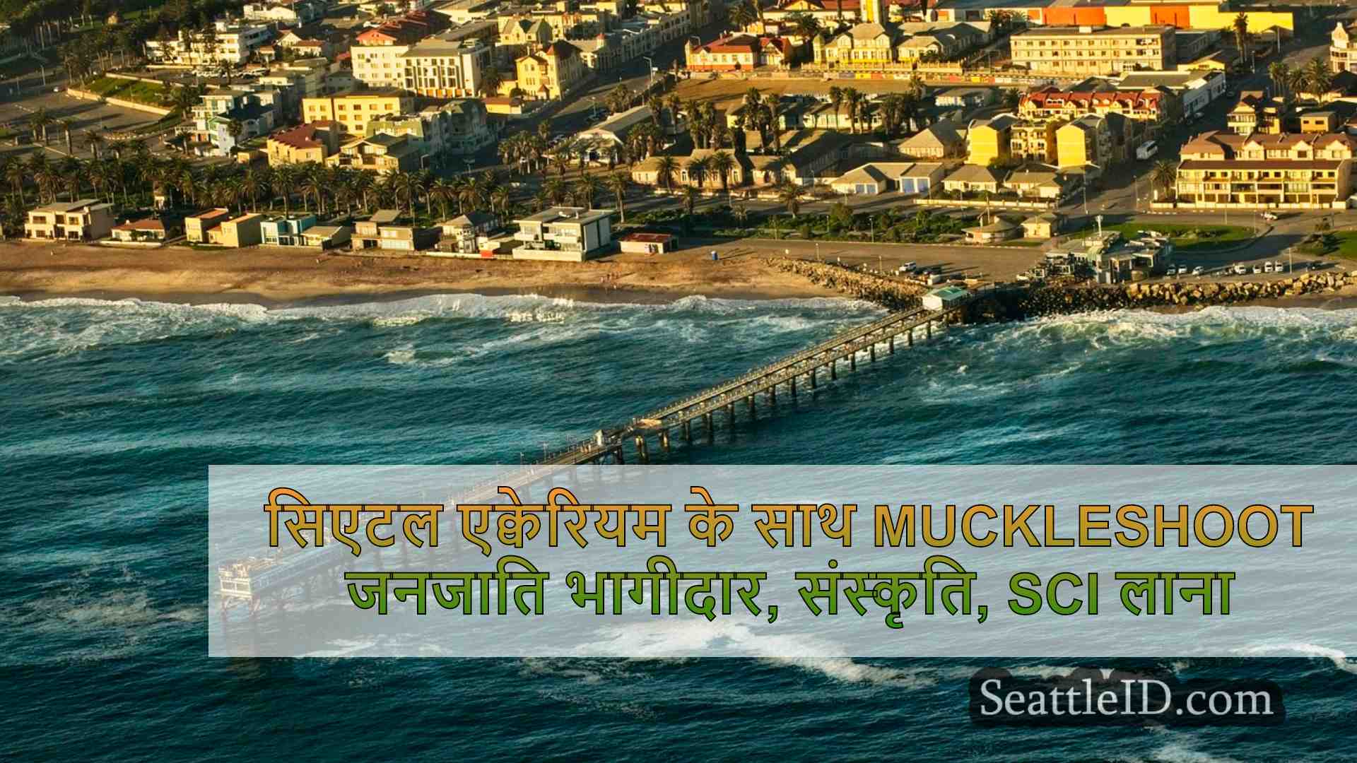 सिएटल समाचार SeattleID