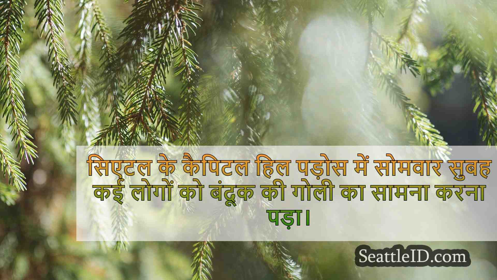 सिएटल समाचार SeattleID