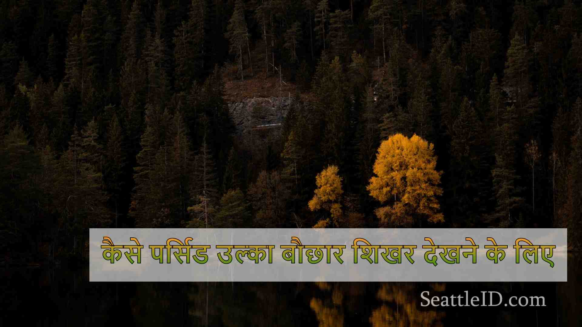 सिएटल समाचार SeattleID