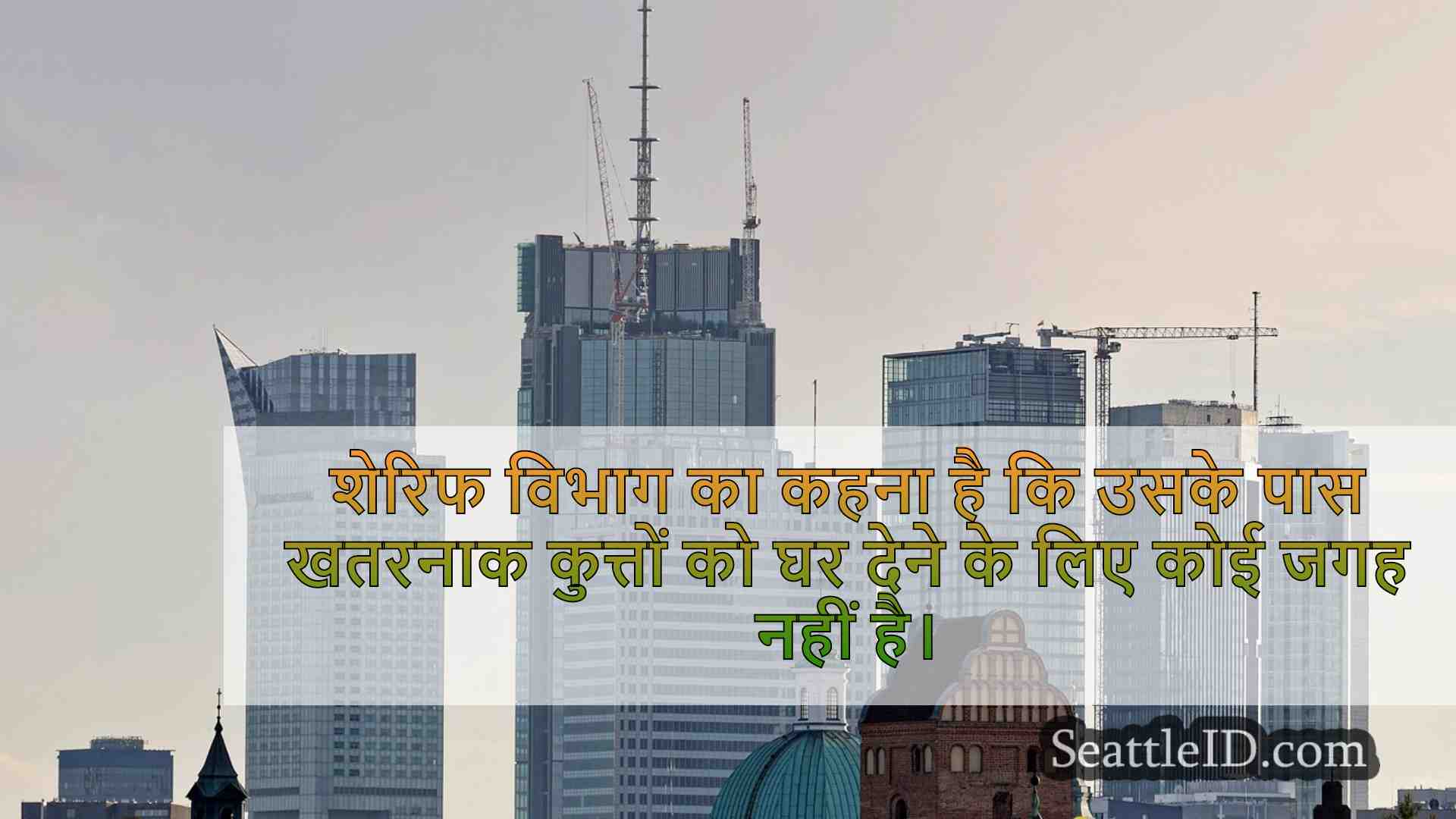सिएटल समाचार SeattleID