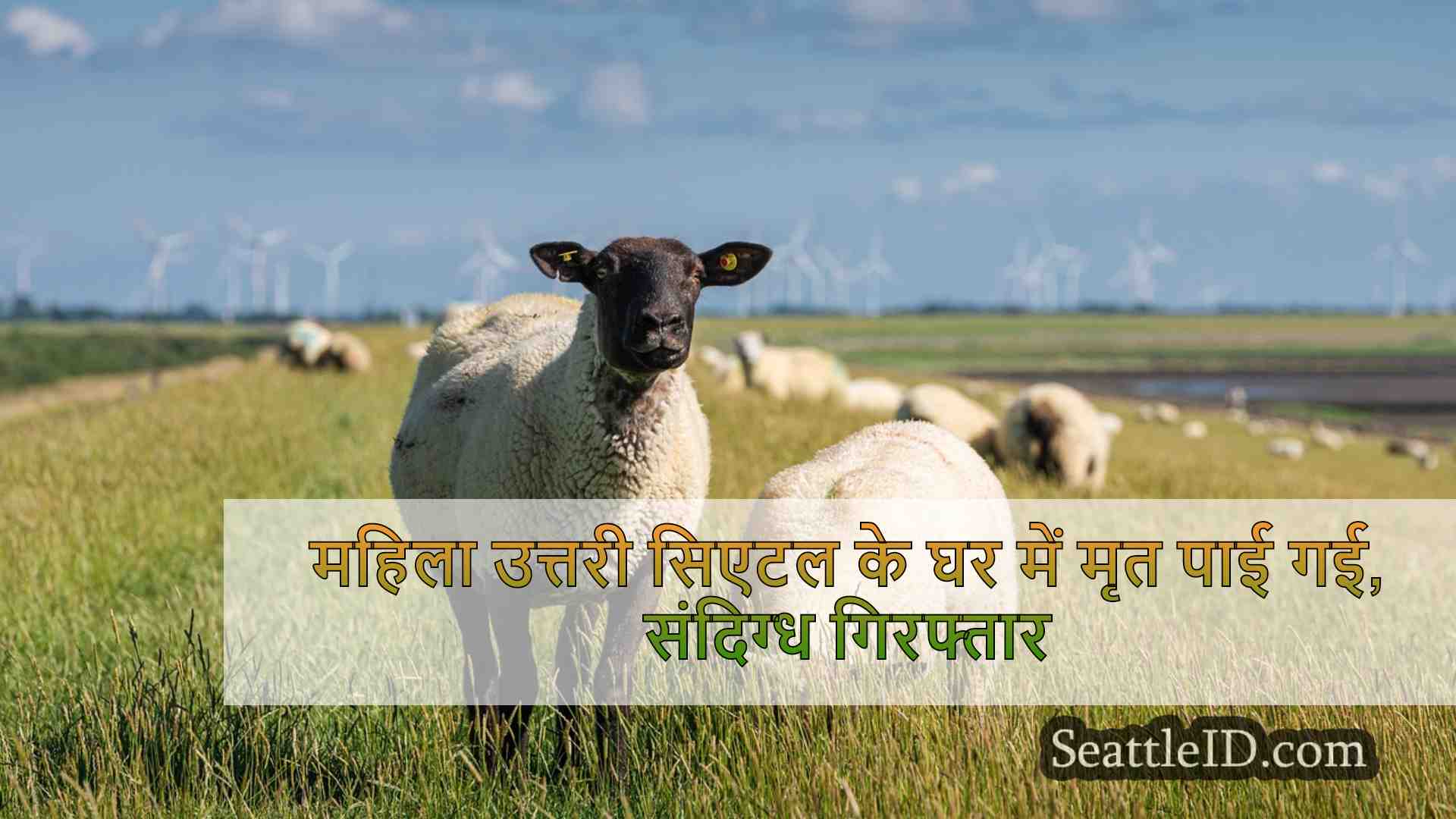 सिएटल समाचार SeattleID