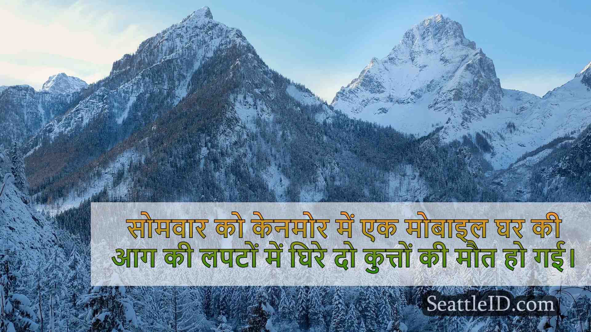 सिएटल समाचार SeattleID