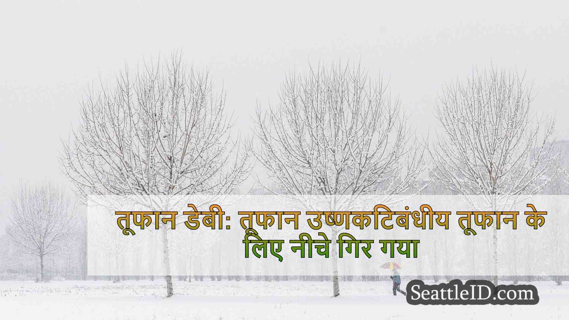सिएटल समाचार SeattleID