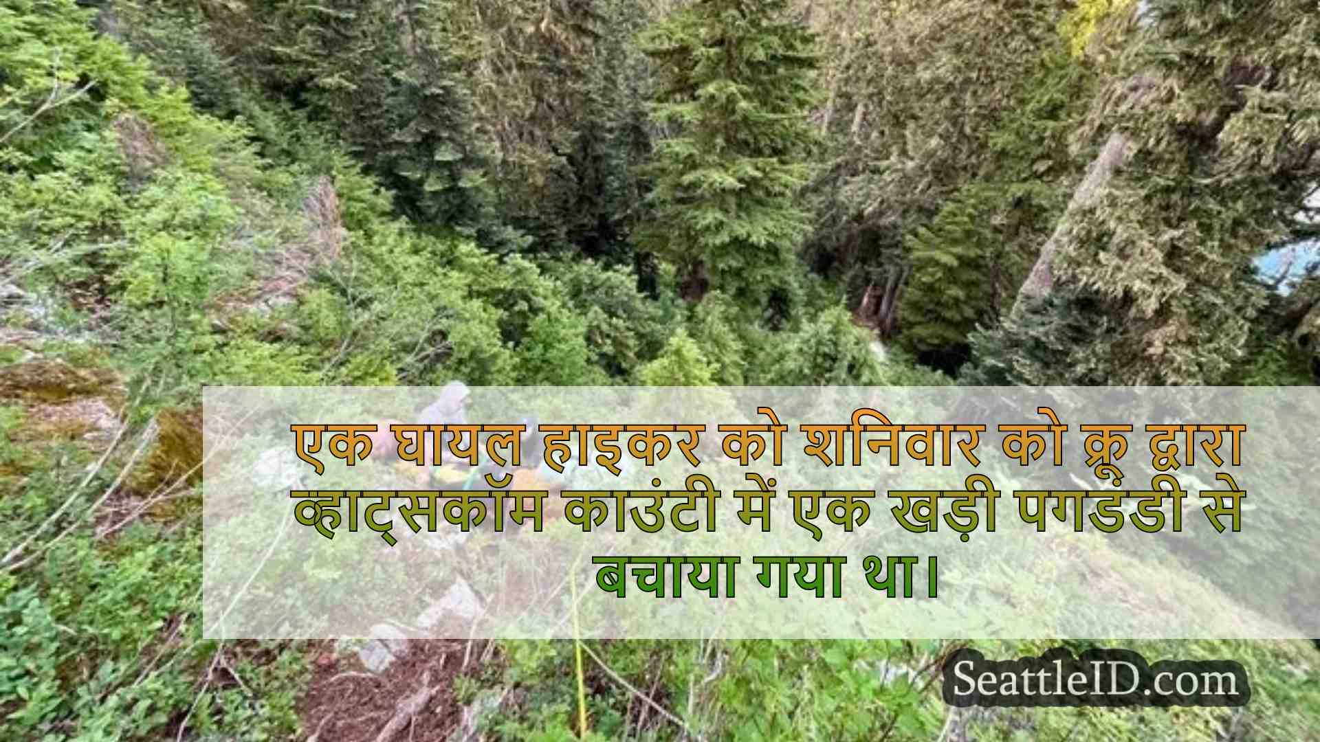 सिएटल समाचार SeattleID
