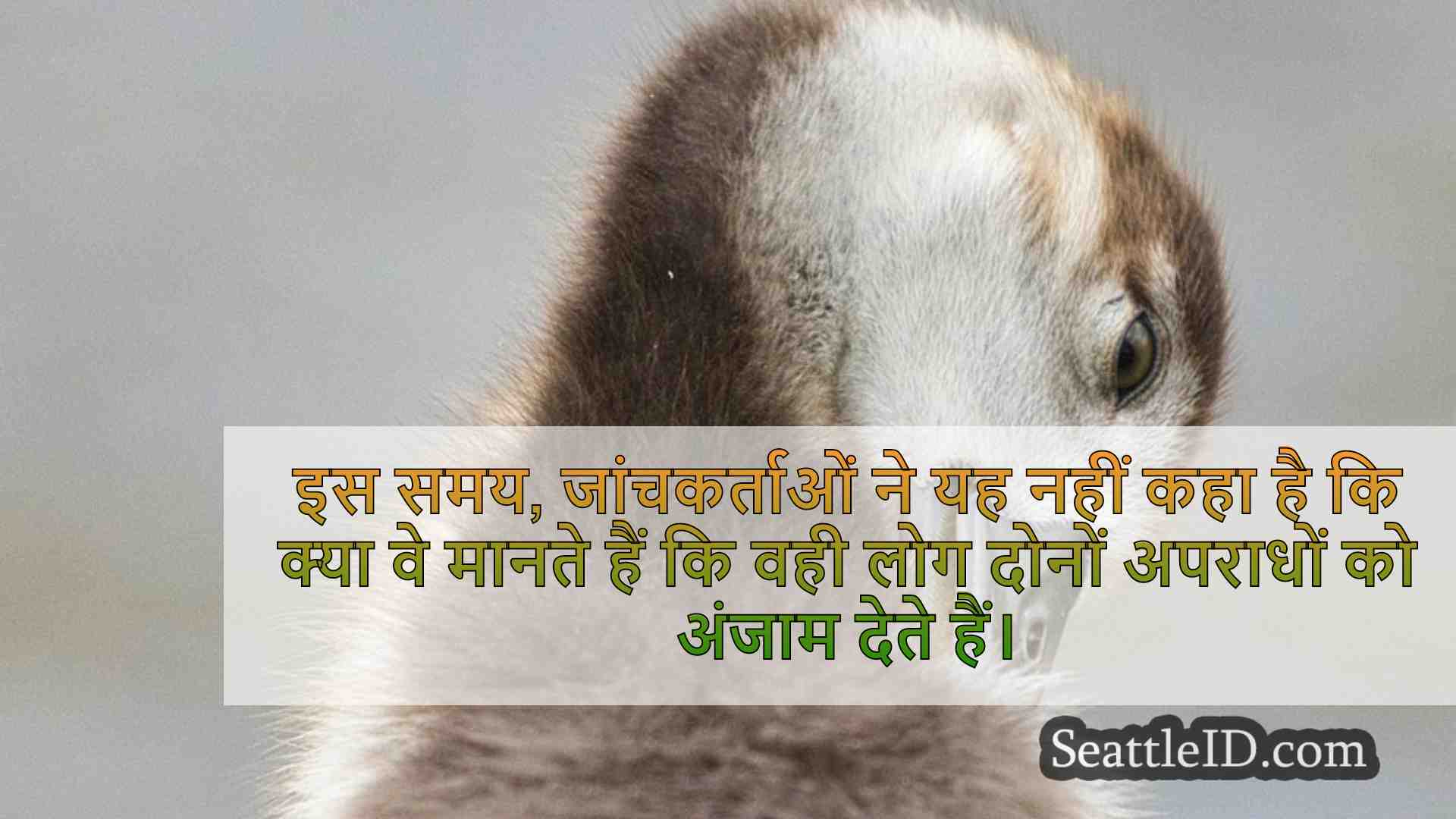 सिएटल समाचार SeattleID