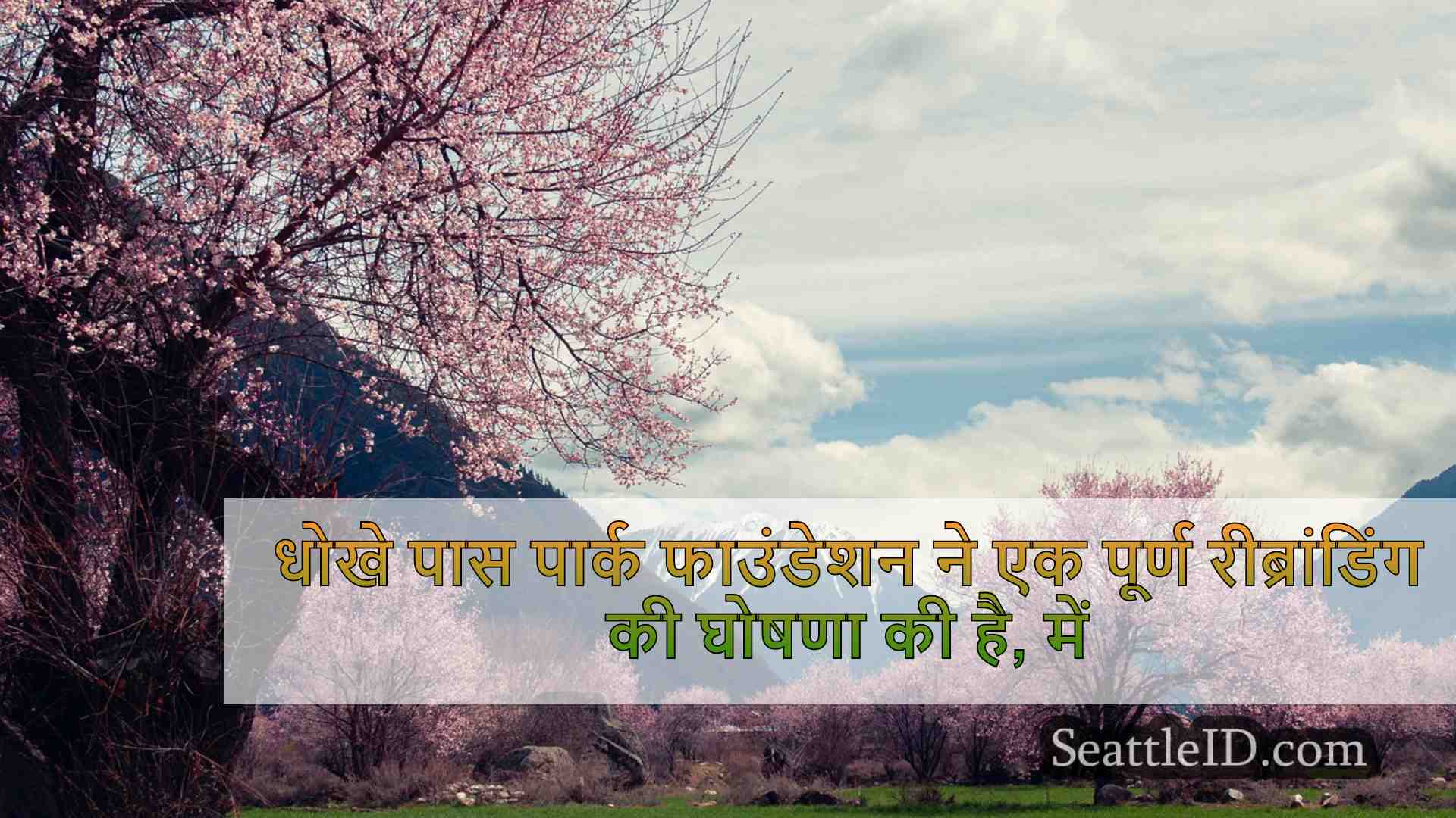 सिएटल समाचार SeattleID