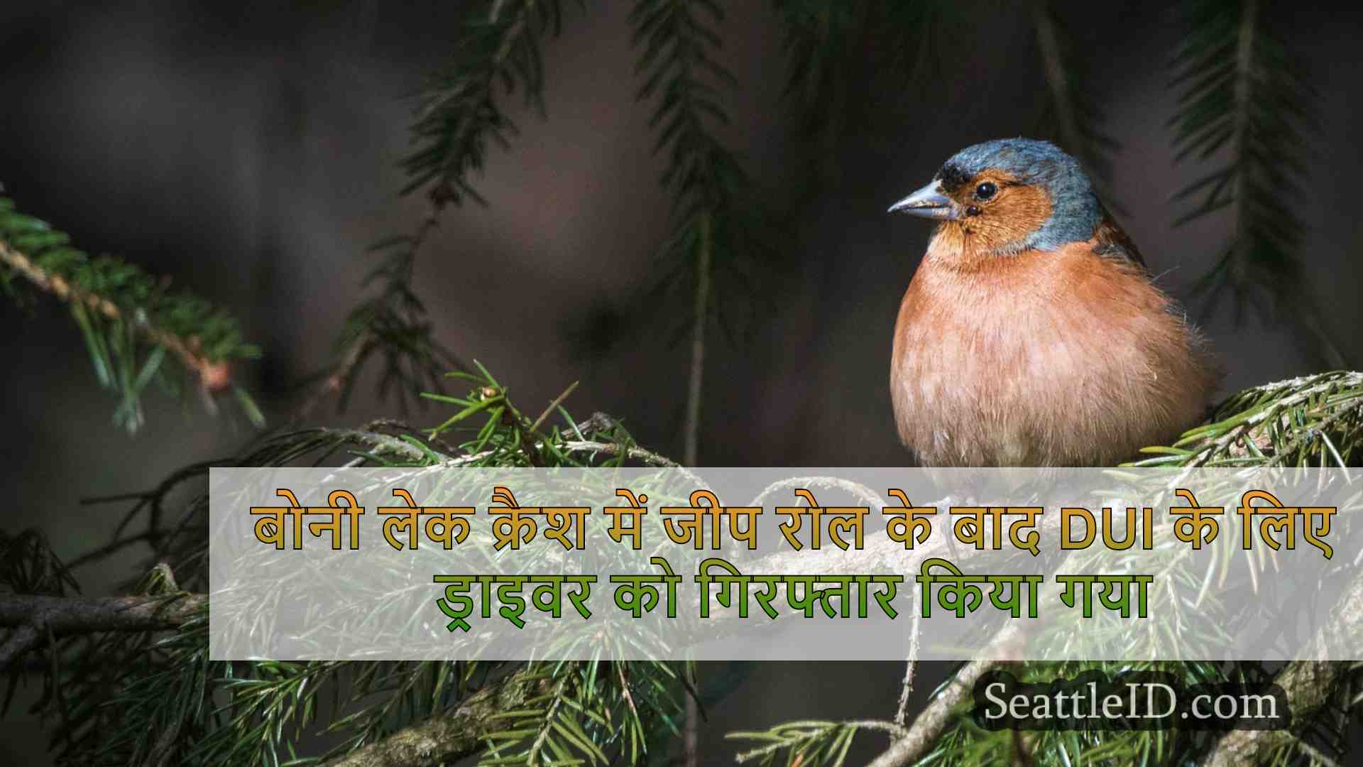 सिएटल समाचार SeattleID